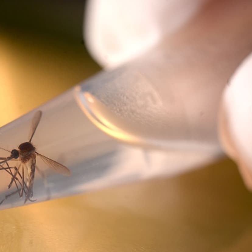 EL SALVADOR-HEALTH-ZIKA-VIRUS