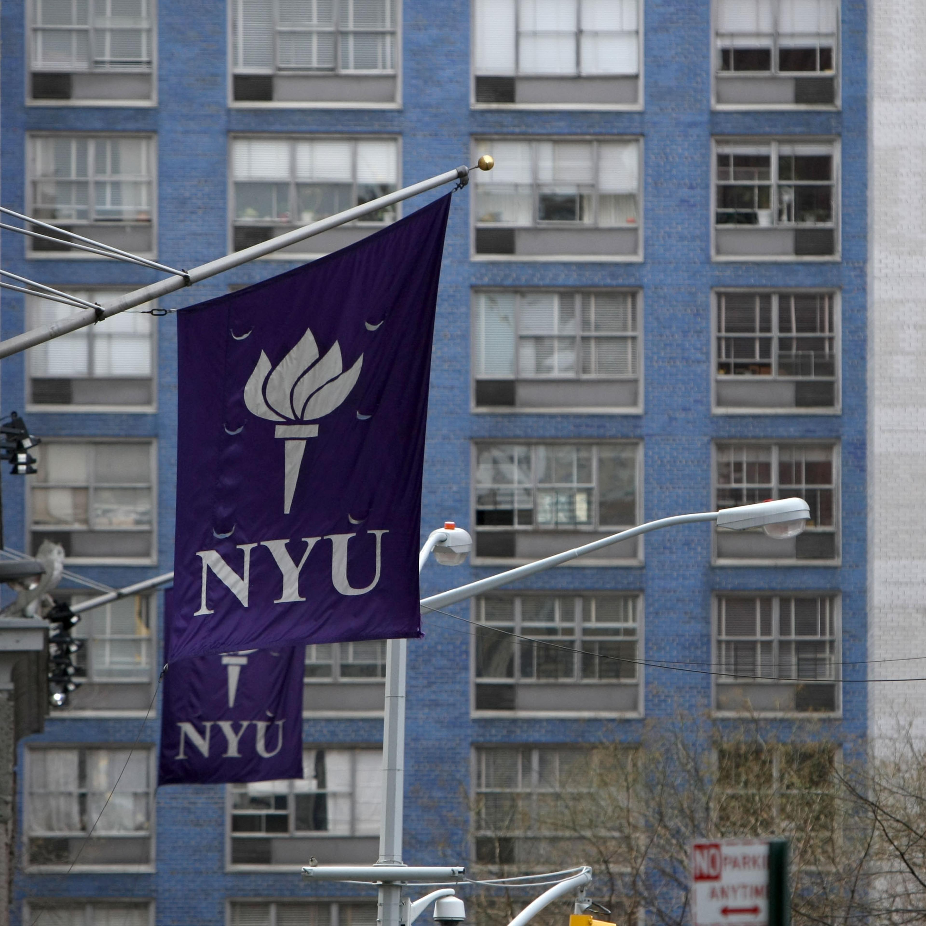 New York University Challenged on Four Fronts of 40% Expansion