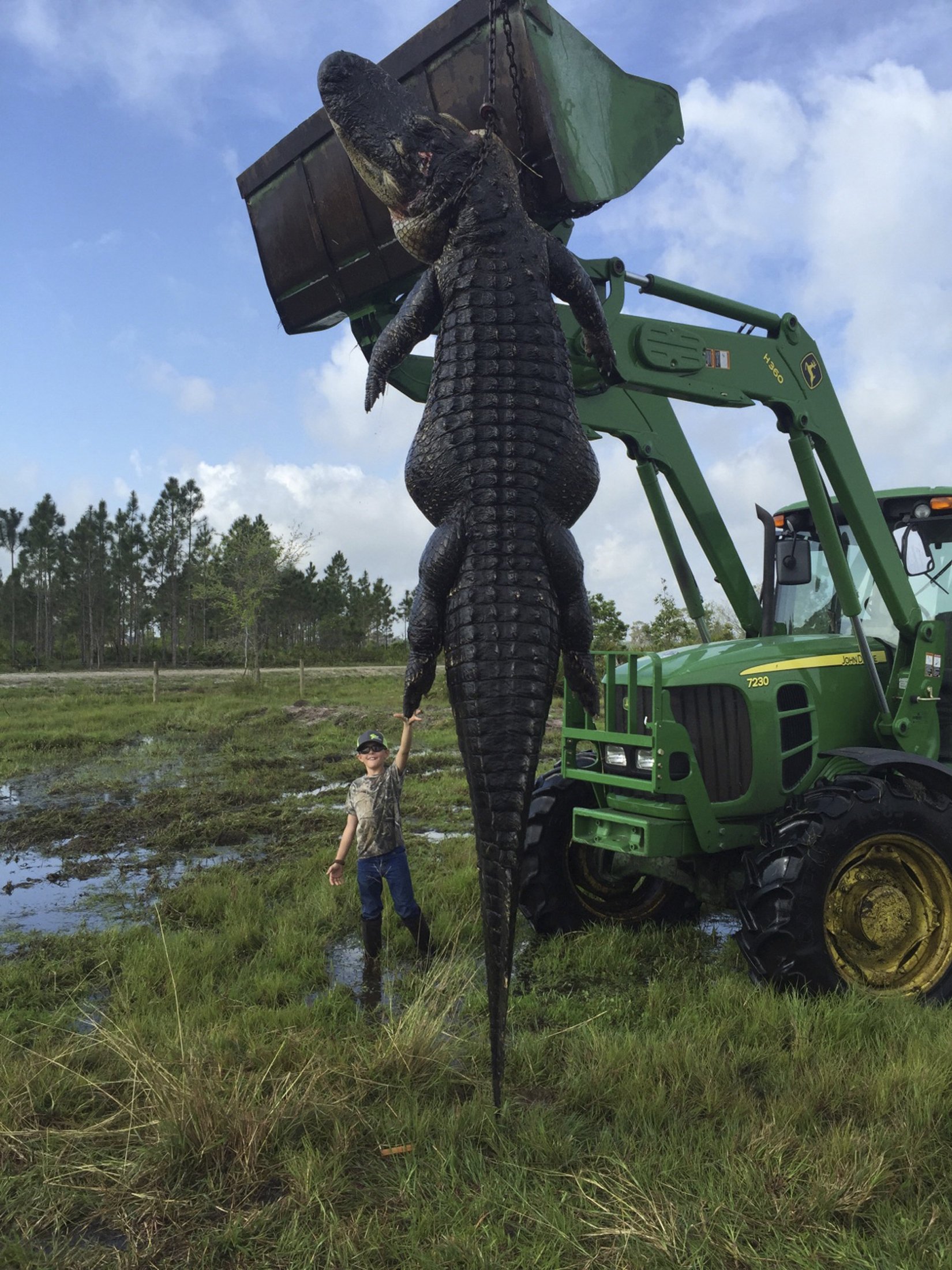 Nine-year-old Mason Lightsey is pictured with a 800-pound (363 kg) giant alligator at his father's farm in Venus, Florida
