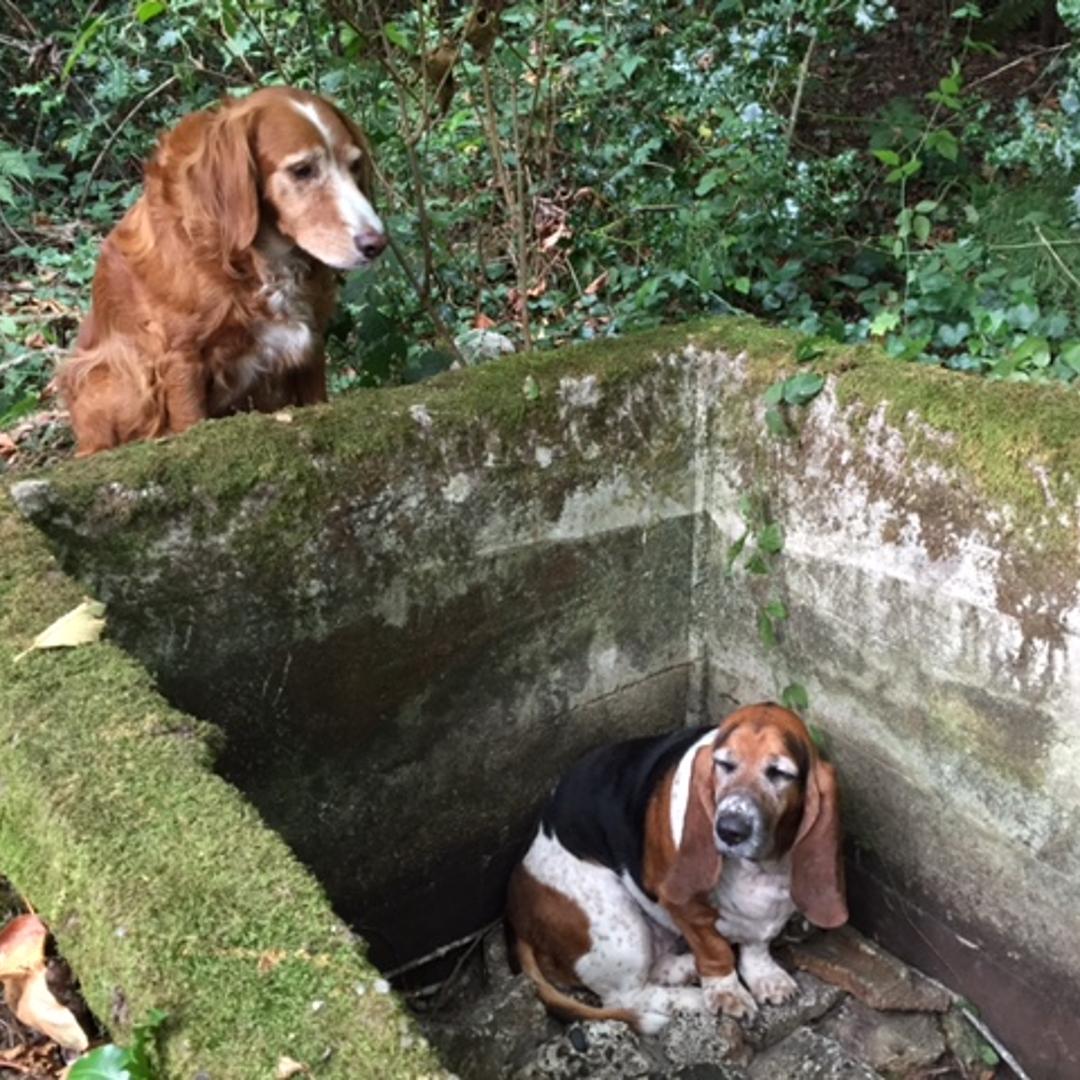 Tillie and Phoebe.