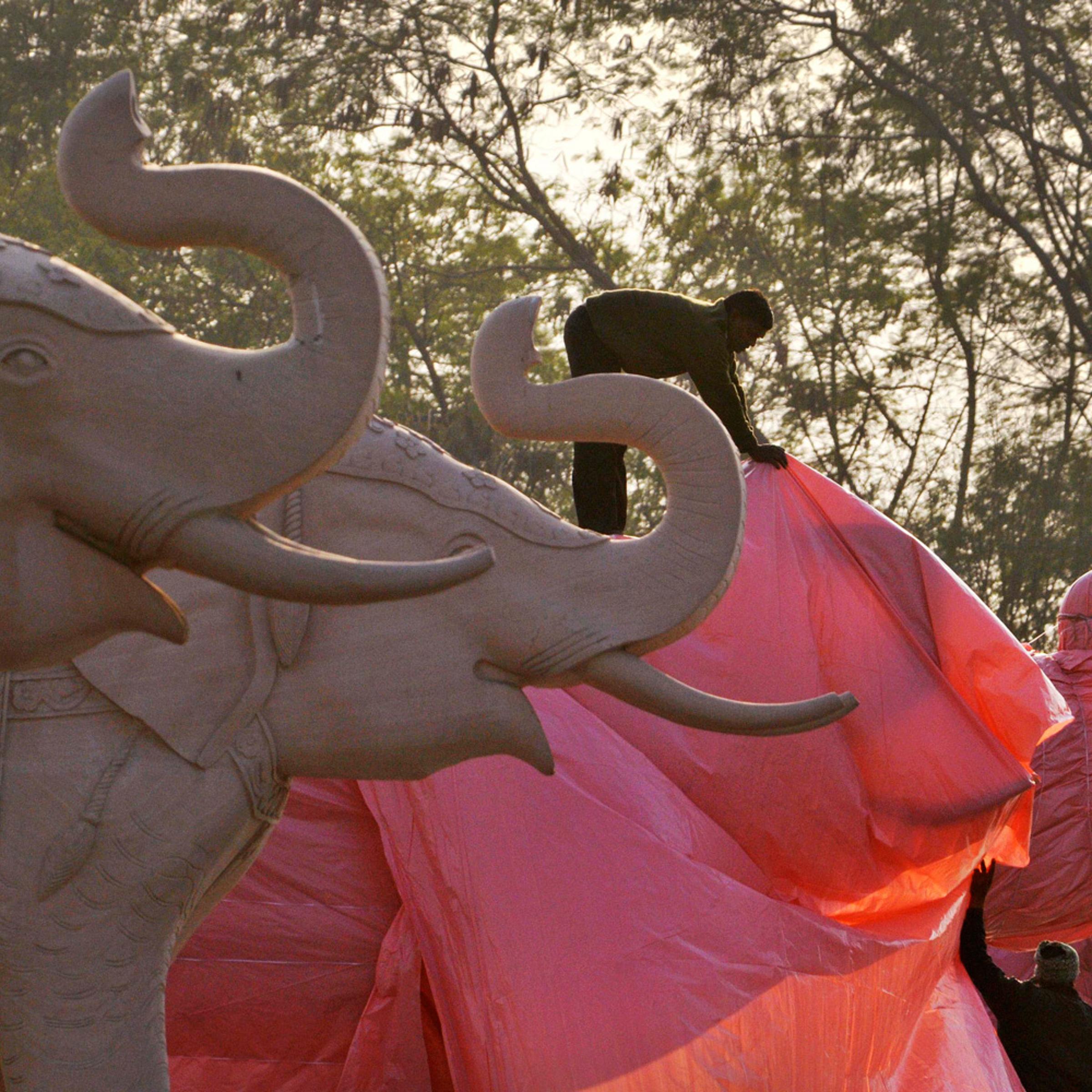 January 10, 2012. An Indian worker covers an elephant statue at Ambedkar Park in Noida, on the outskirts of New Delhi, India. Workmen using truckloads of cloth raced to comply with election officials who ordered the statues of Chief Minister of Utter Pradesh state Mayawati, who is a hero to India's lowest castes, along with nearly 200 statues of elephants, her party's symbol, be covered.