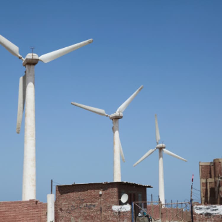 wind-mills