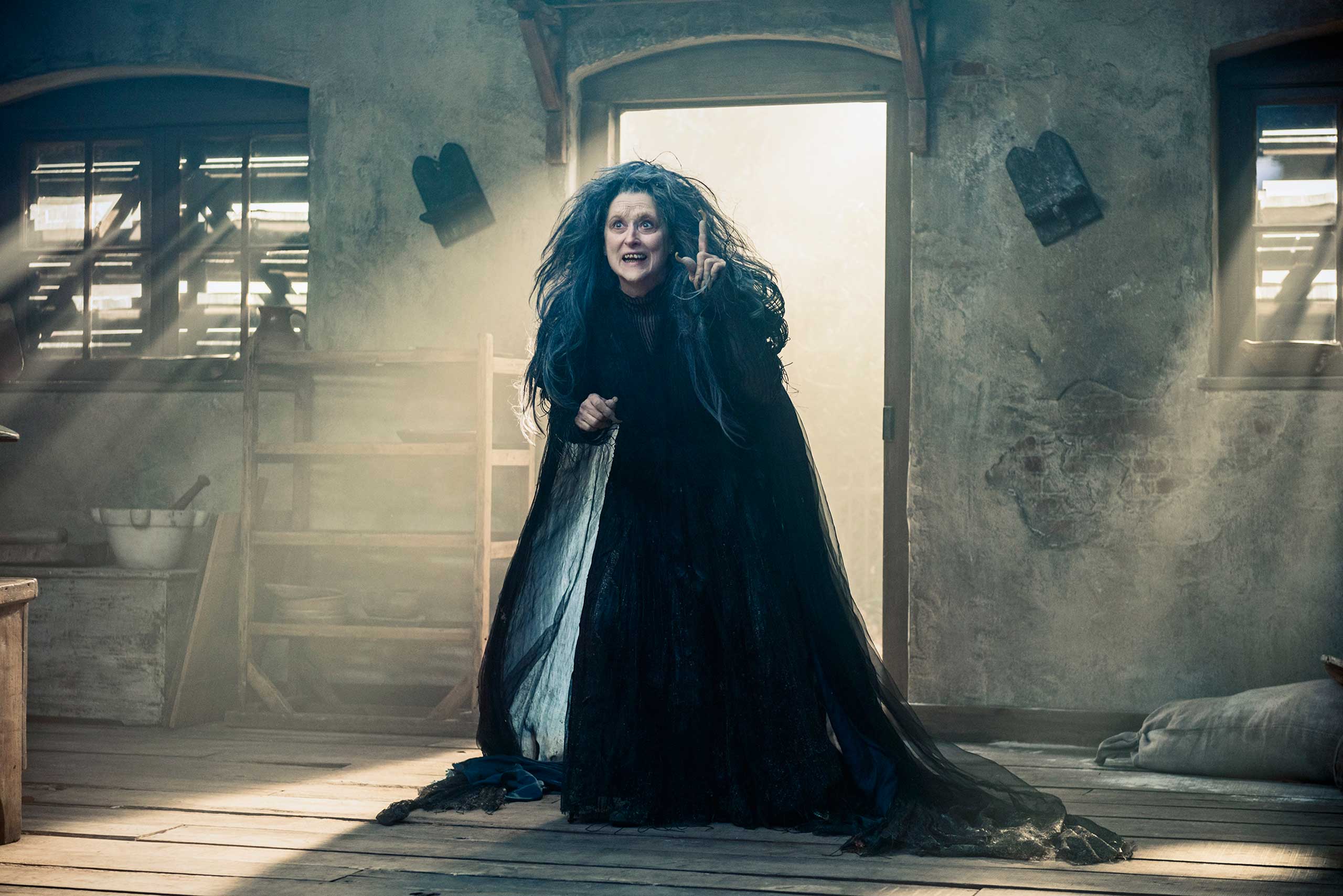 INTO THE WOODS