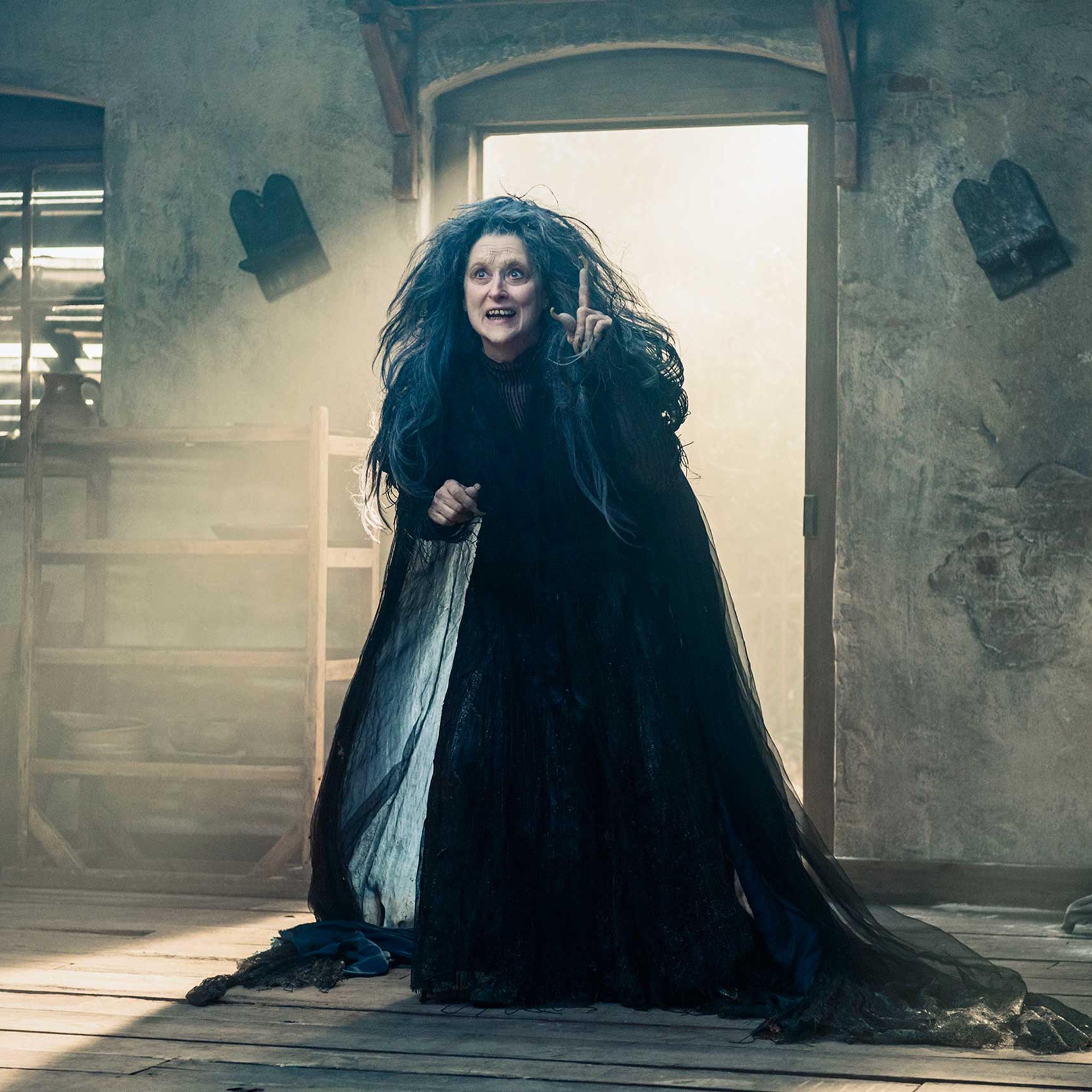 INTO THE WOODS