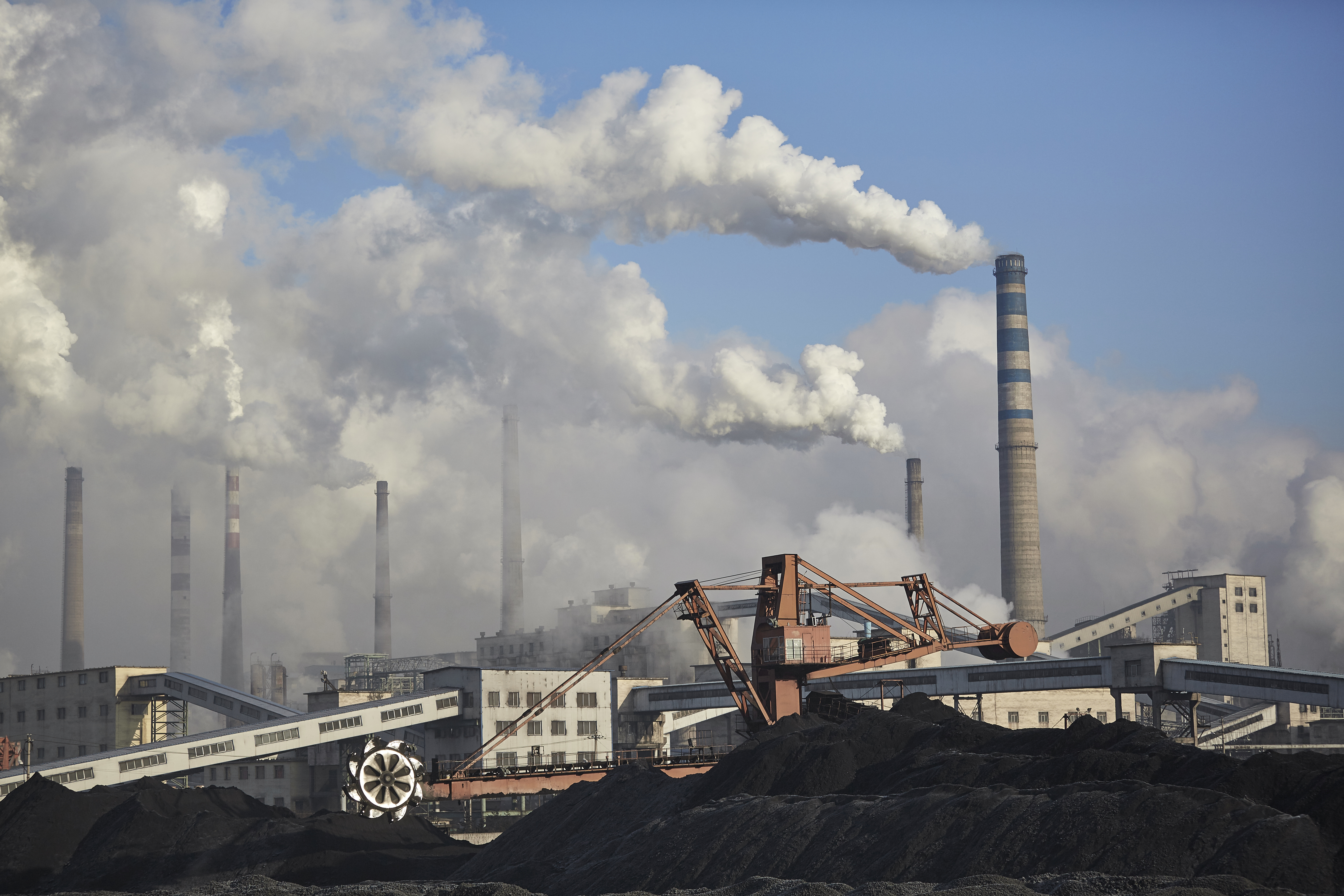 china coal carbon