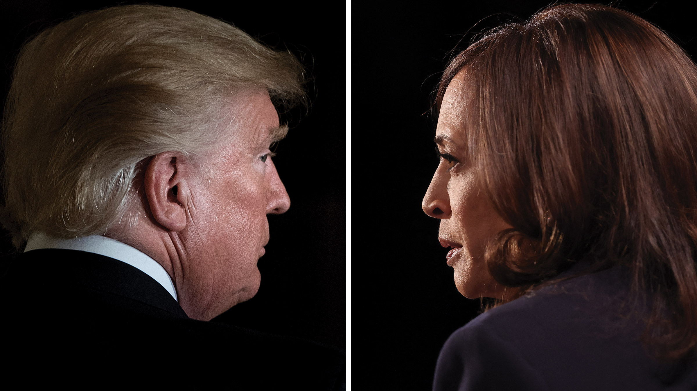 Trump vs. Harris diptych