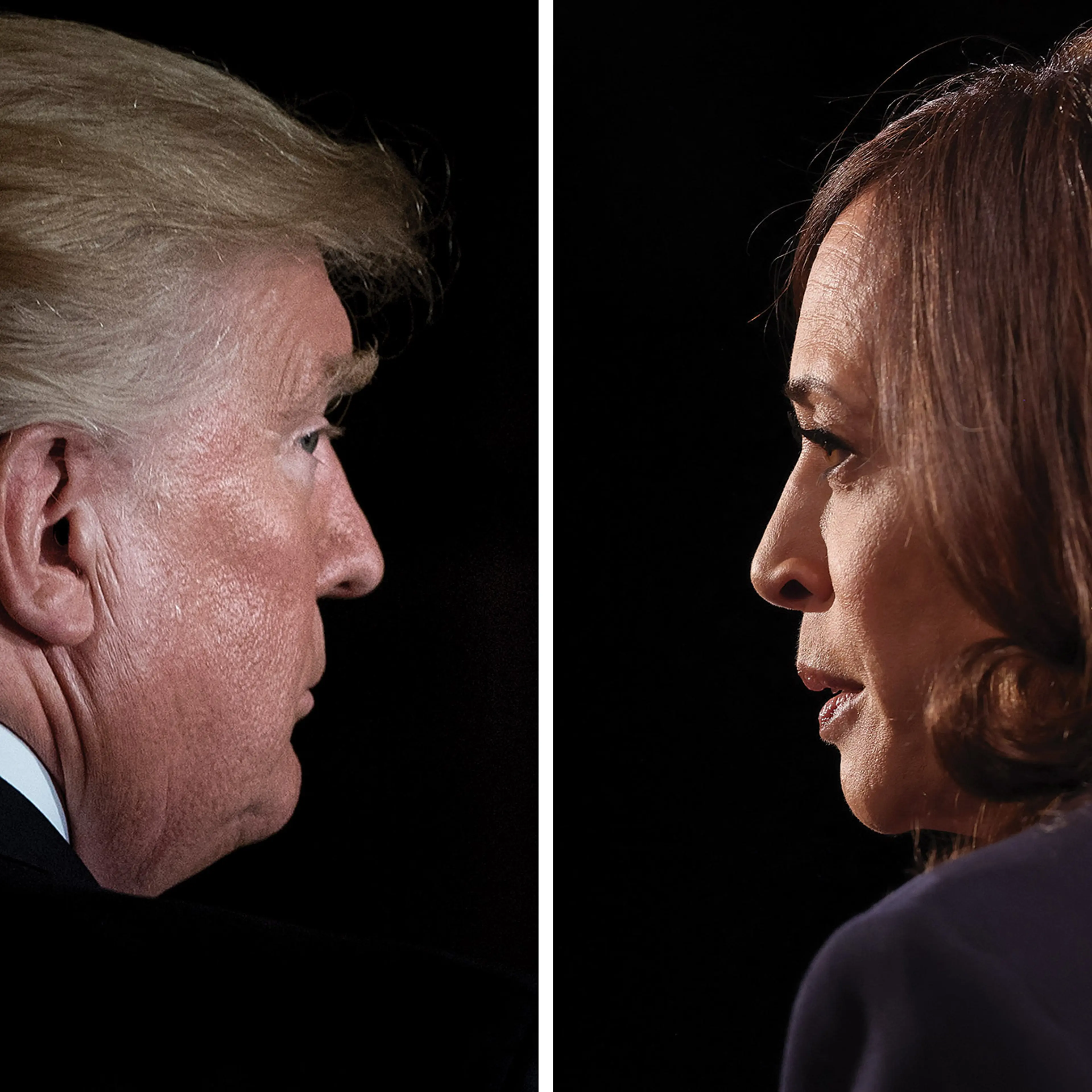 Trump vs. Harris diptych