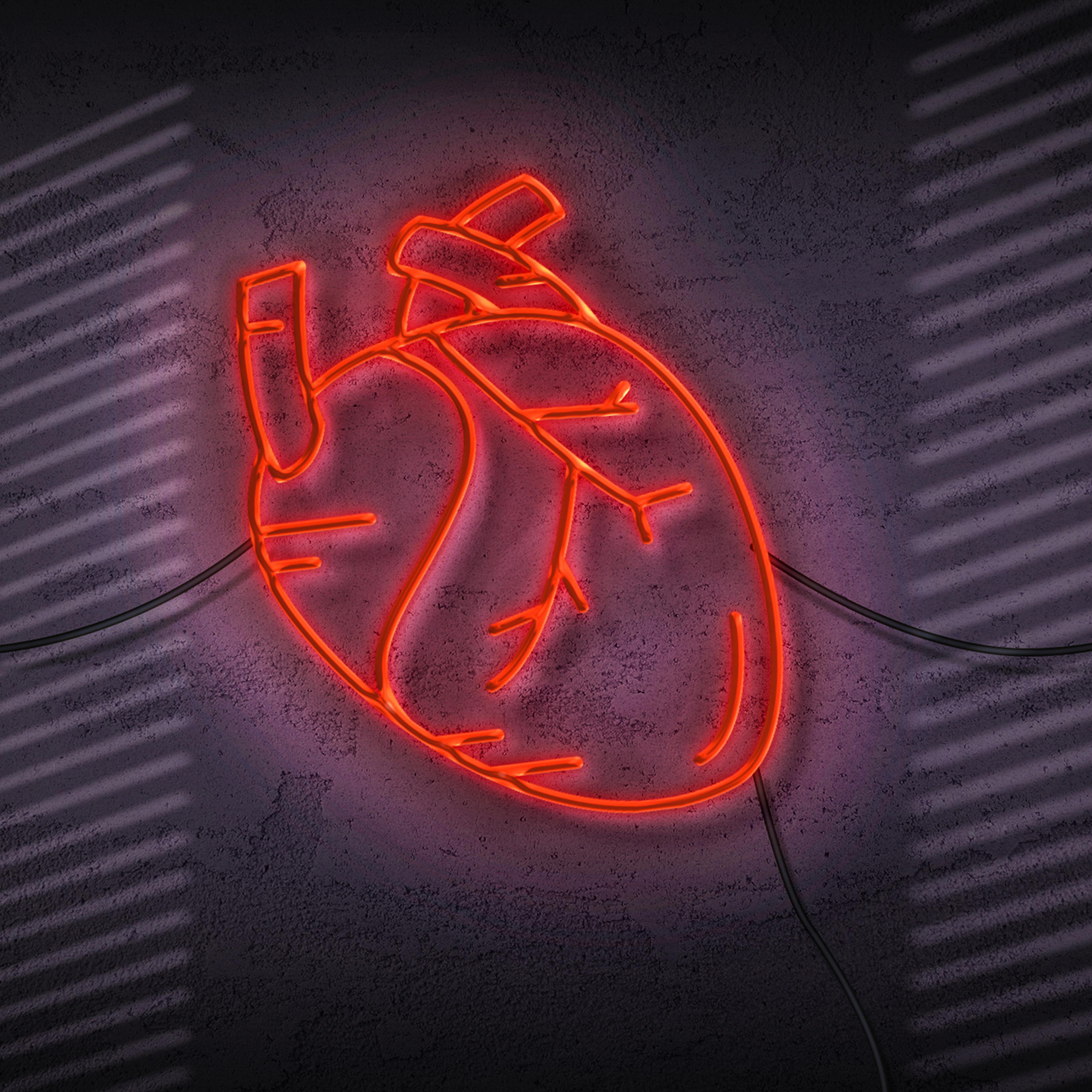anatomic heart in red neon style