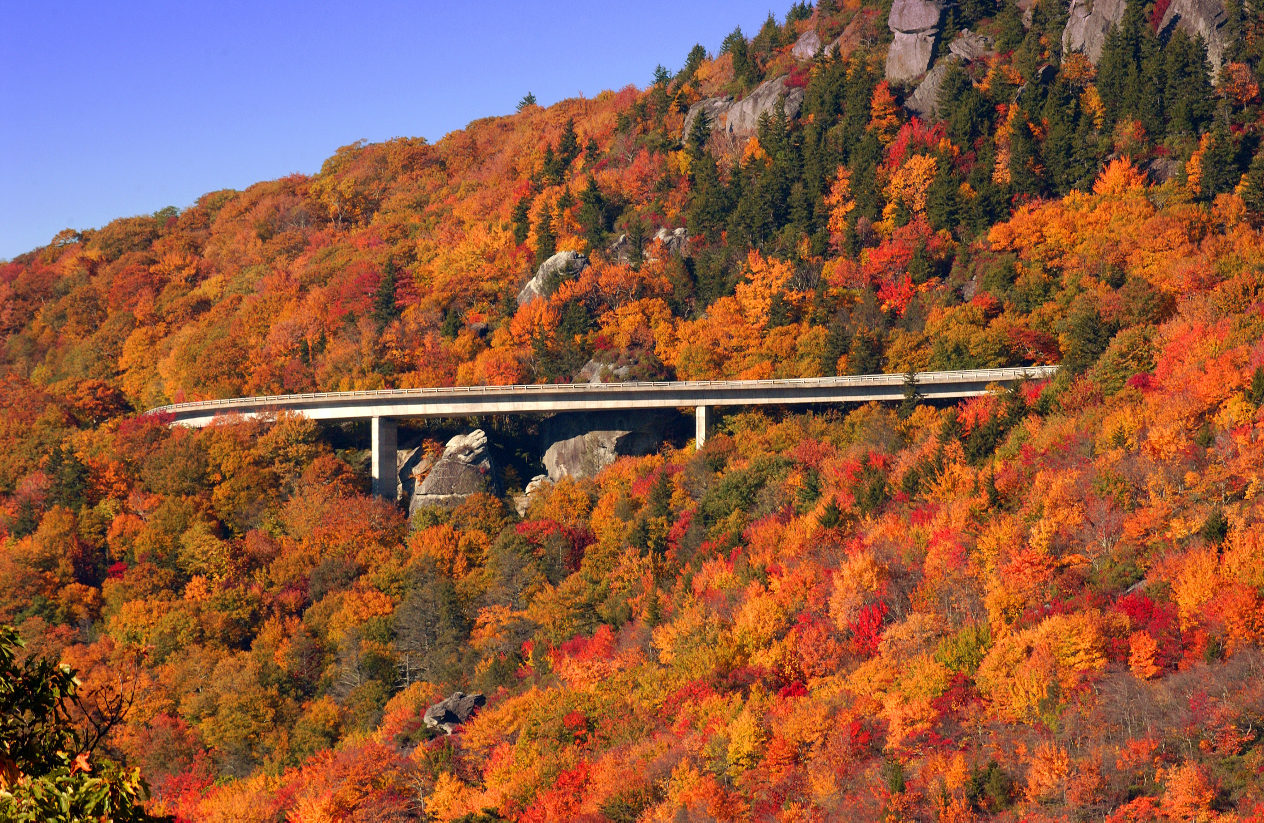 ASHEVILLE, NORTH CAROLINA