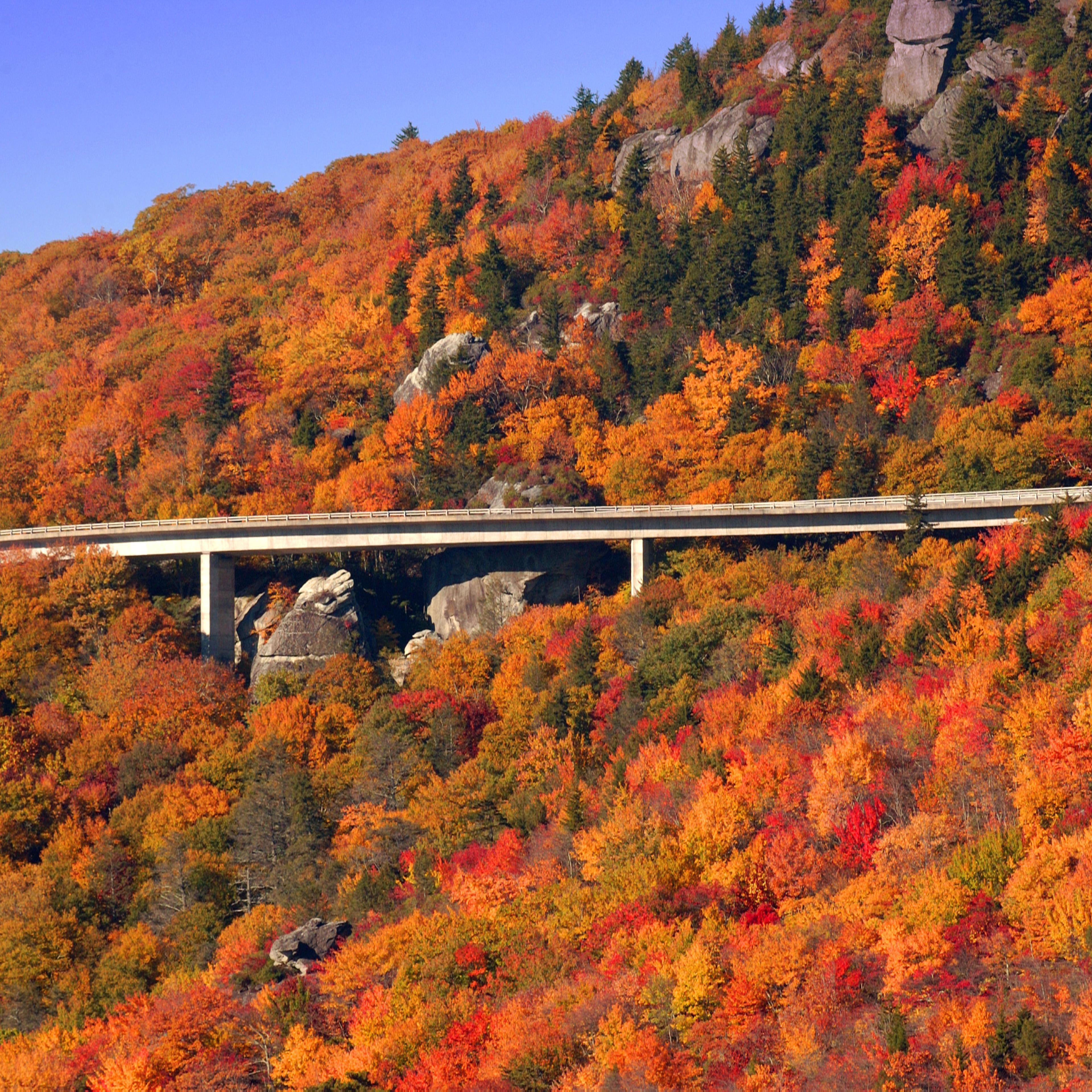 ASHEVILLE, NORTH CAROLINA