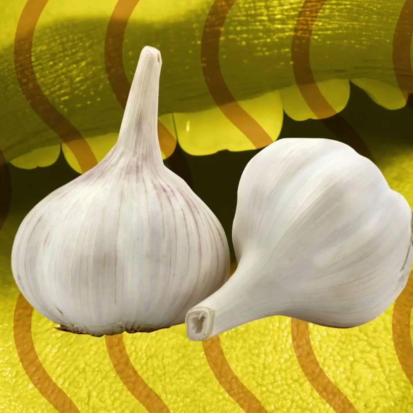 A complex group of volatile organic compounds give you that distinct garlic breath.