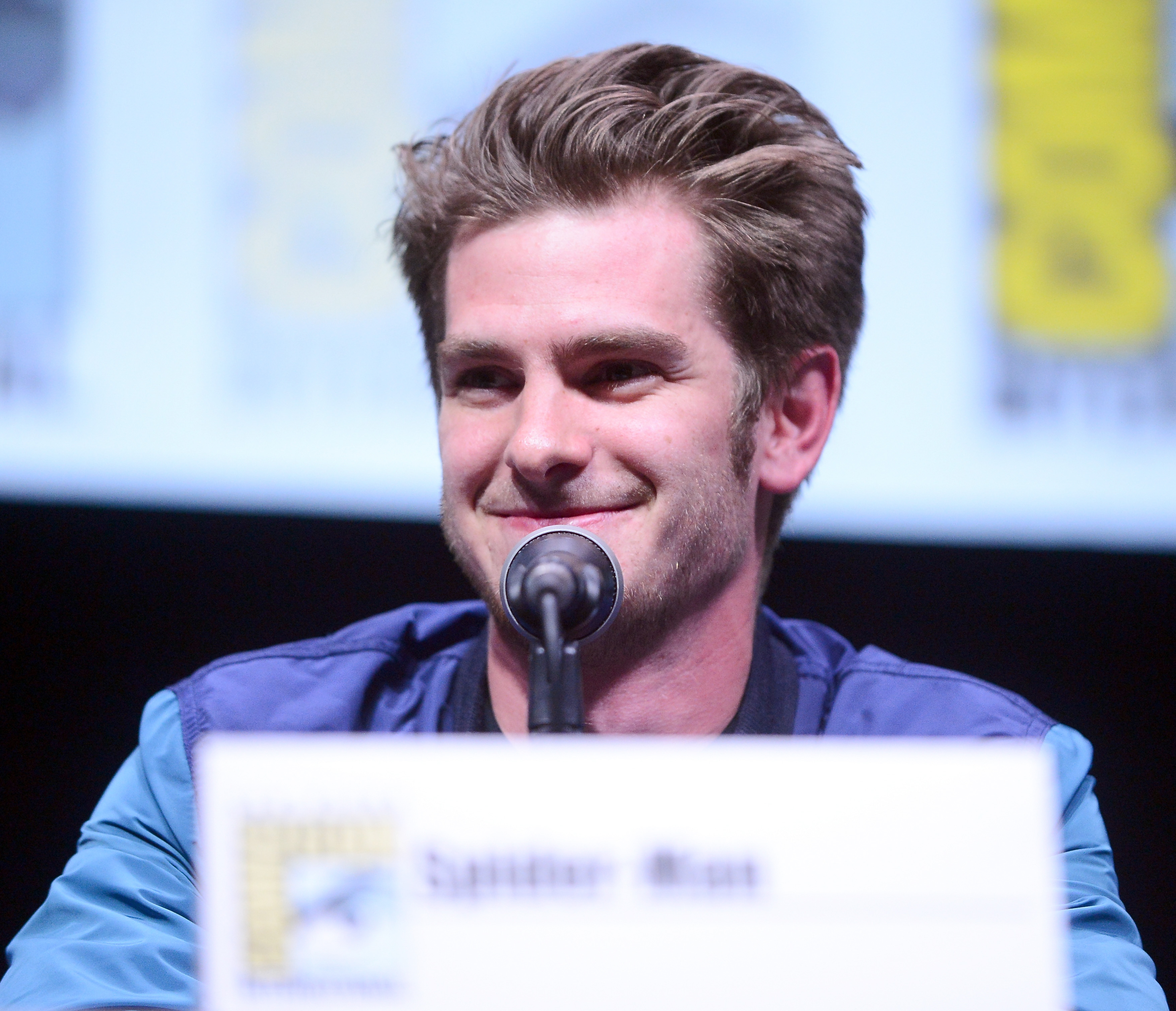 Sony and Screen Gems Panels - Comic-Con International 2013