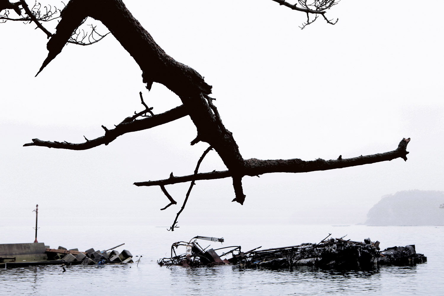 <i>ATOKATA-1</i>, 2011 