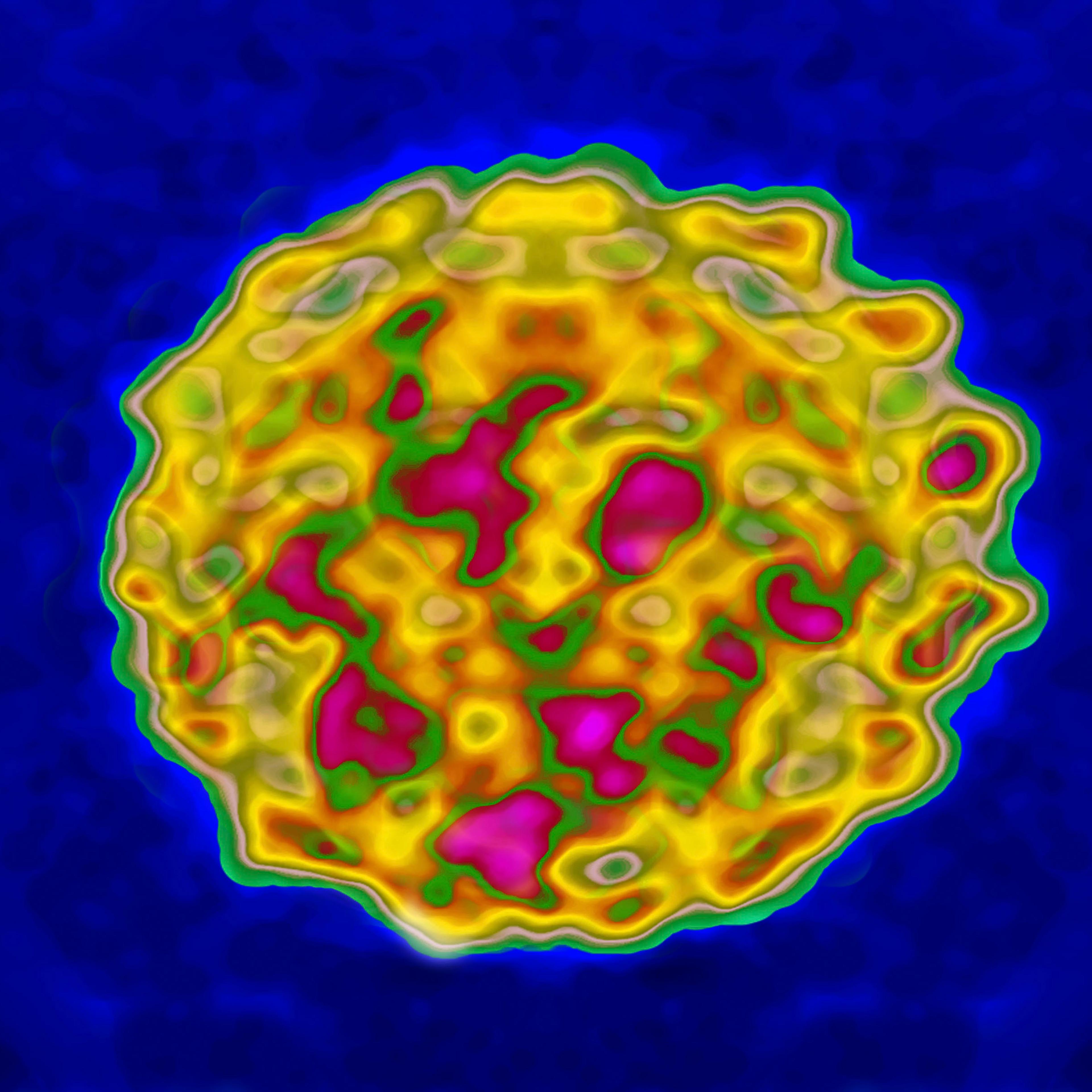 Papilloma Virus