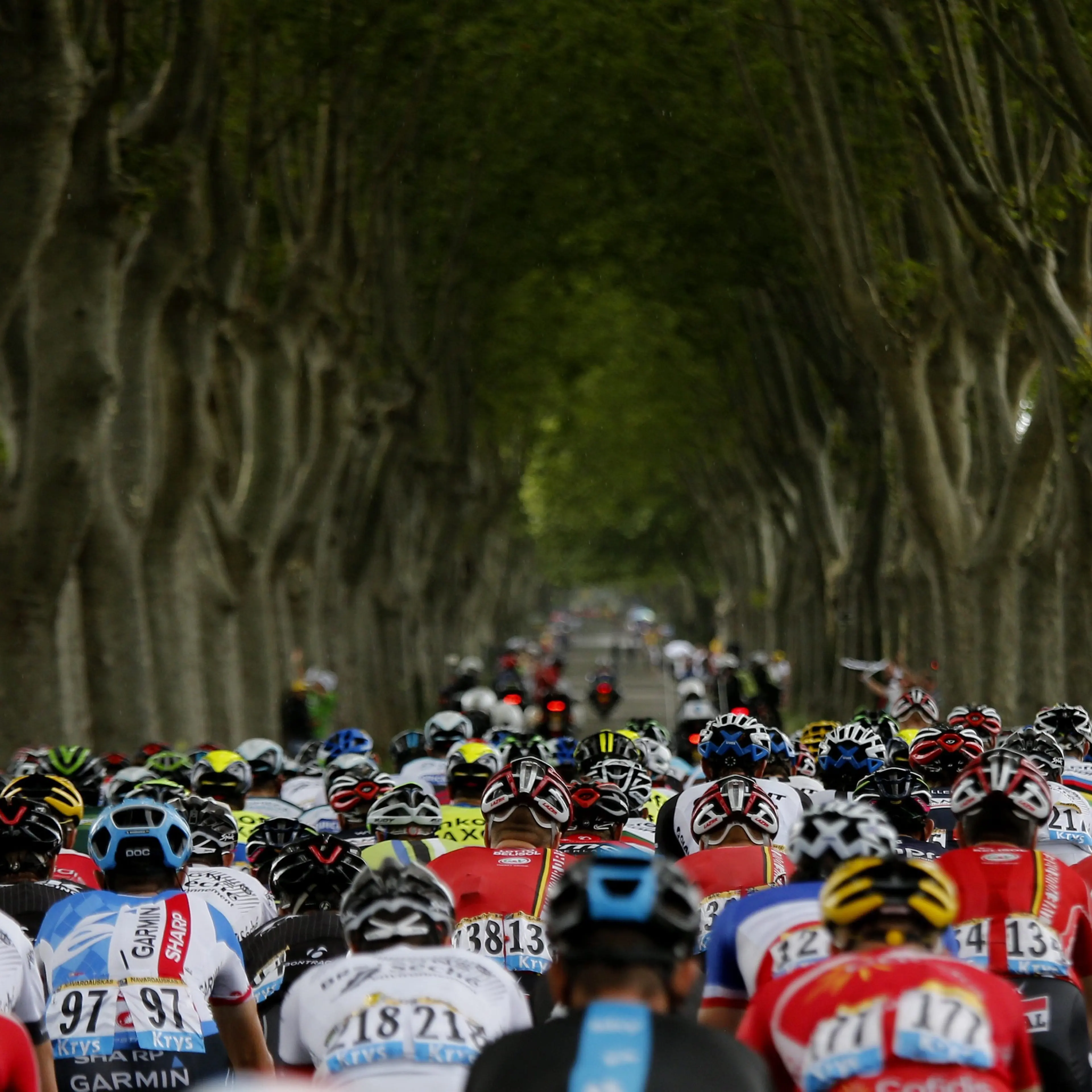 The pack of riders is on the way during the 15th stage of the 101st Tour de France cycling race, over 222 km from Tallard to Nimes, in France, on July, 20 2014.
