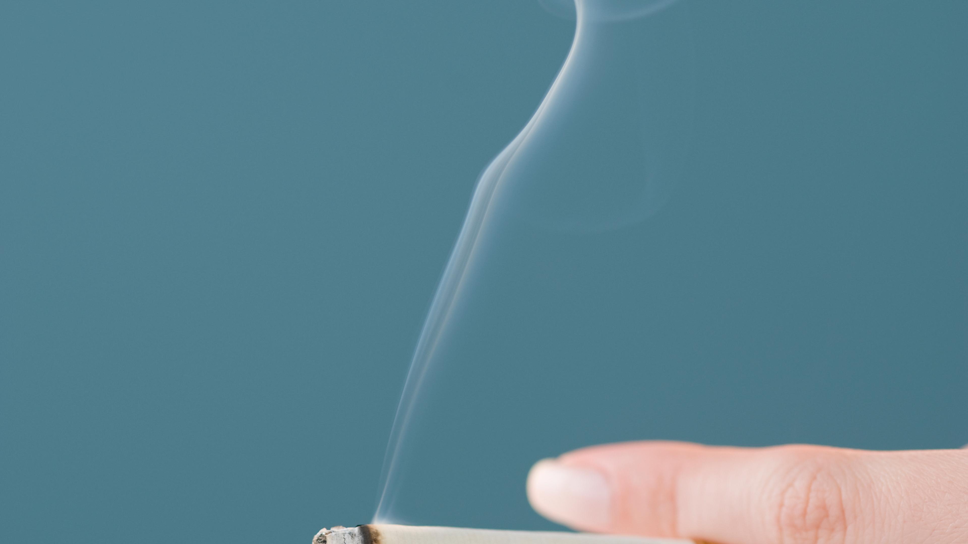 what is the commonality between tobacco hpv and sunlight Frontiers Integrative genomic analysis reveals low