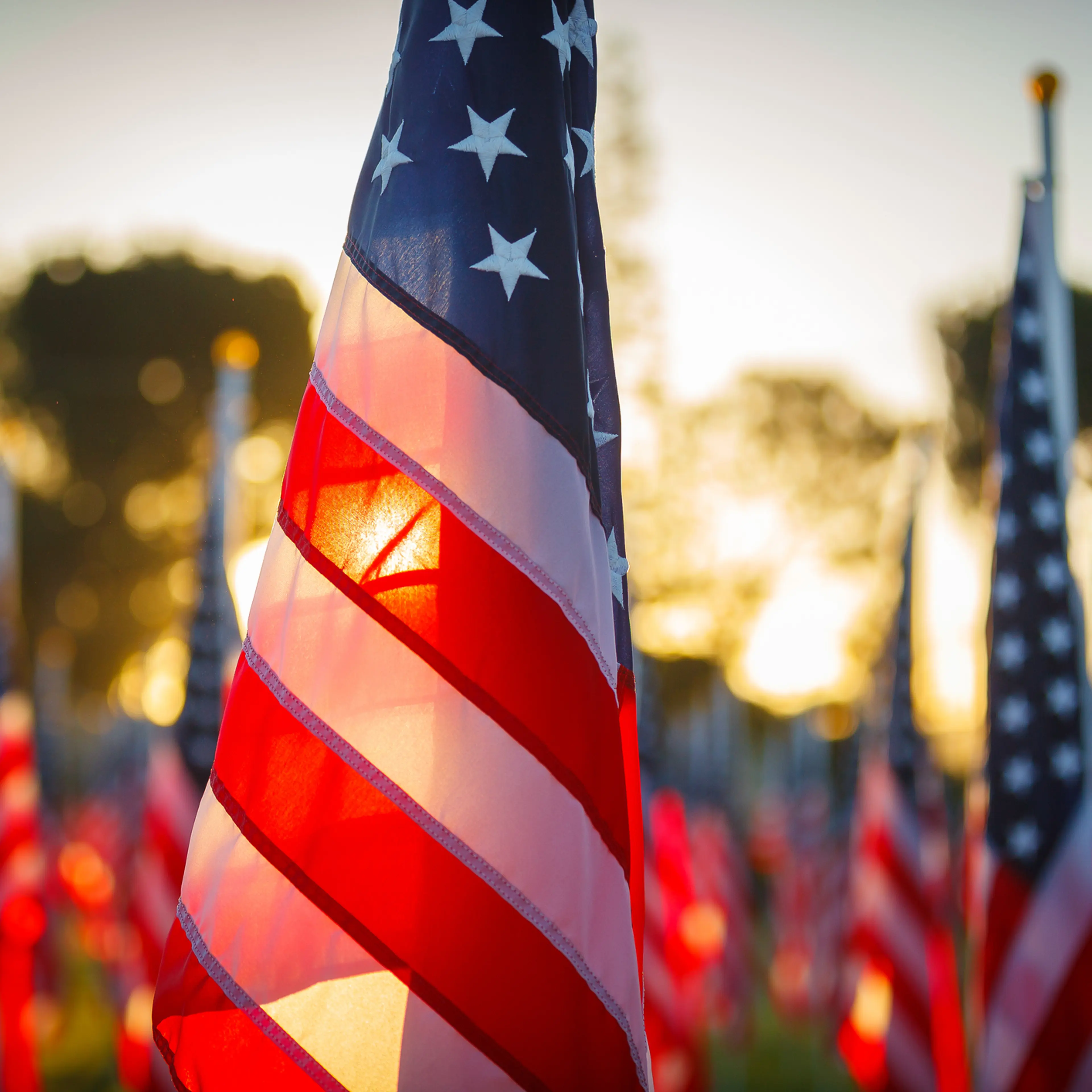 Veterans Day