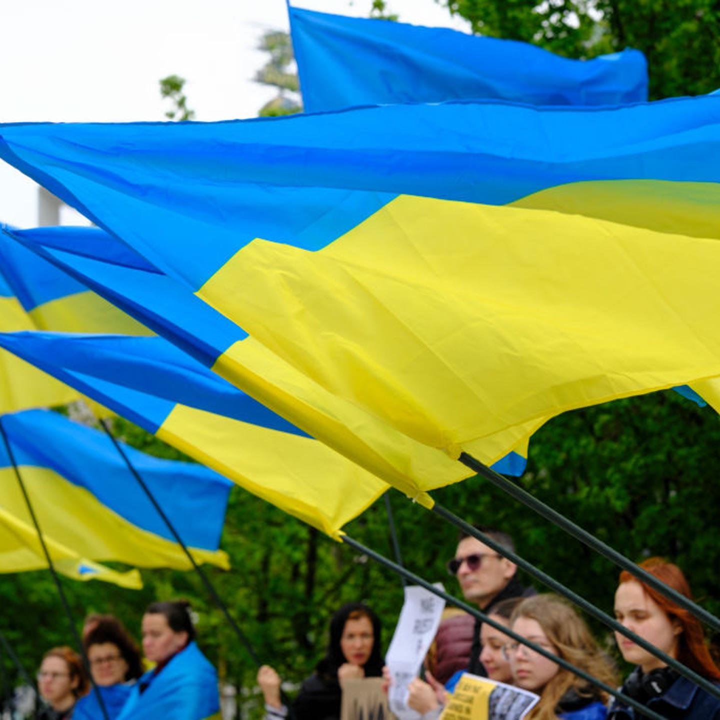 Ukrainian Demo For Frozen Assets Of The Russian Central Bank