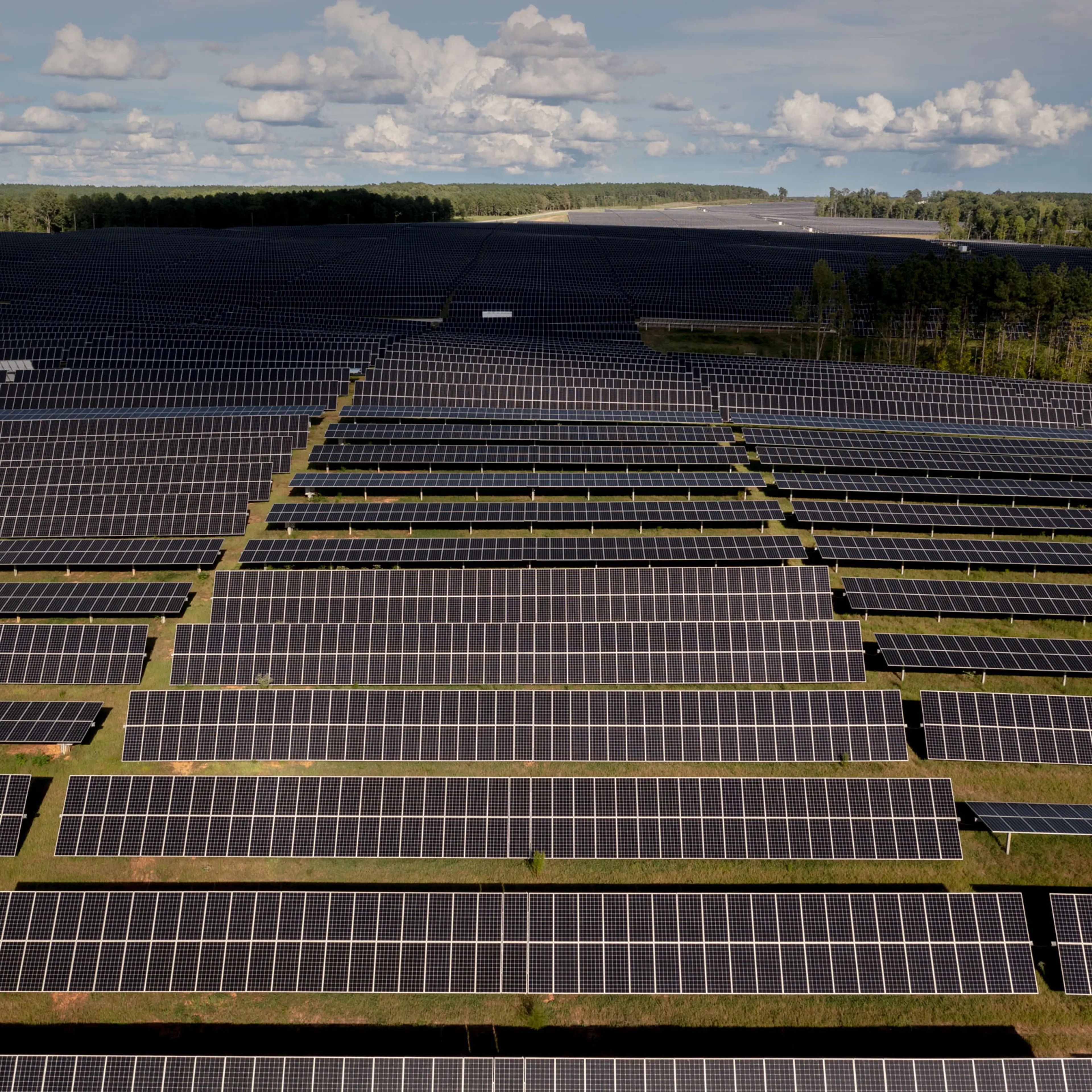 Solar panels line the 526 acre plot at Hawtree Creek in North Carolina, recently acquired by Amazon.