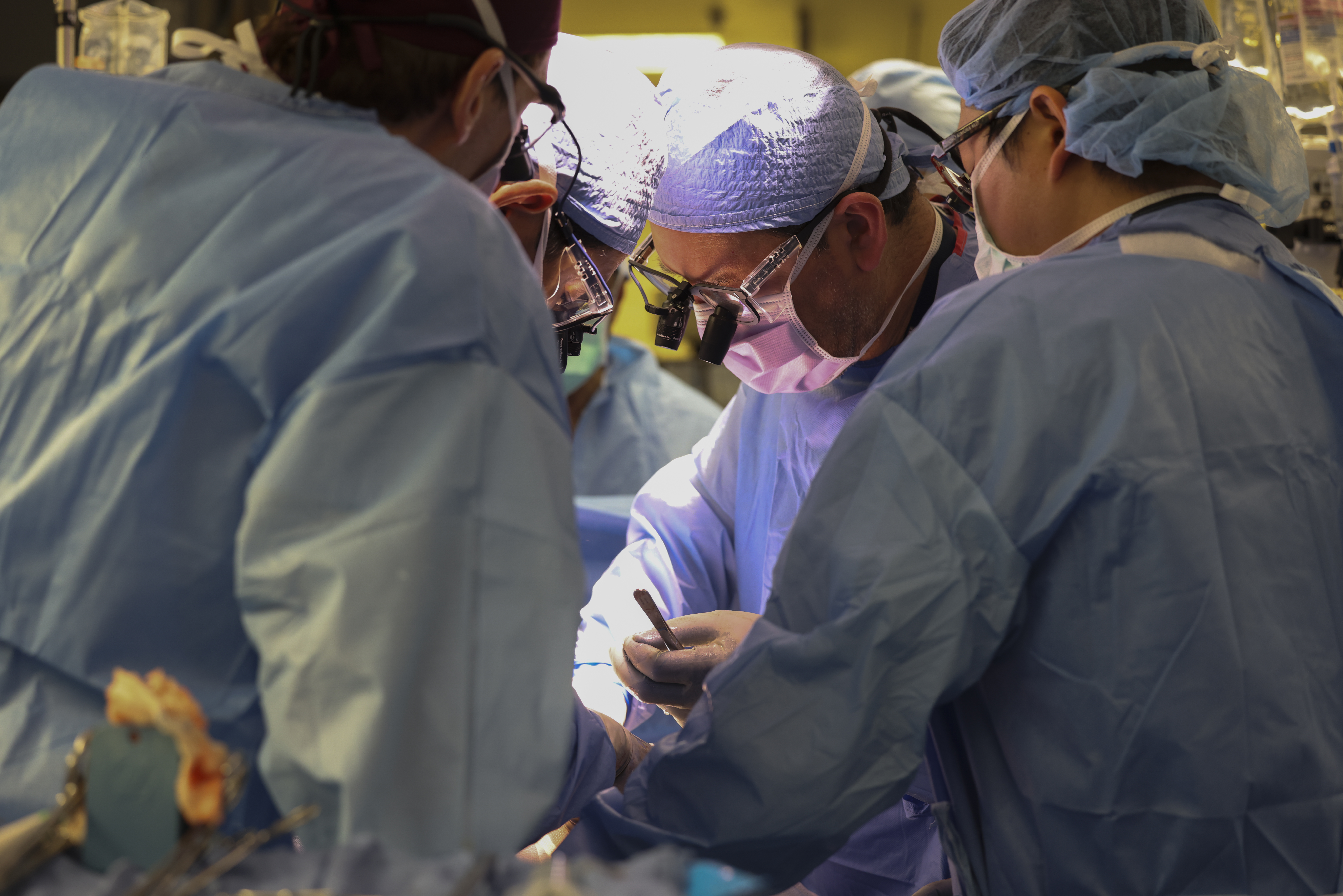 Massachusetts General Hospital; Mass General; MGH; PHOTO ASSIGNMENT Project description Drs. Kawai and Elias will be transplanting a genetically modified pig kidney into a living recipient – the first in the world. I will defer to them on the exact time 