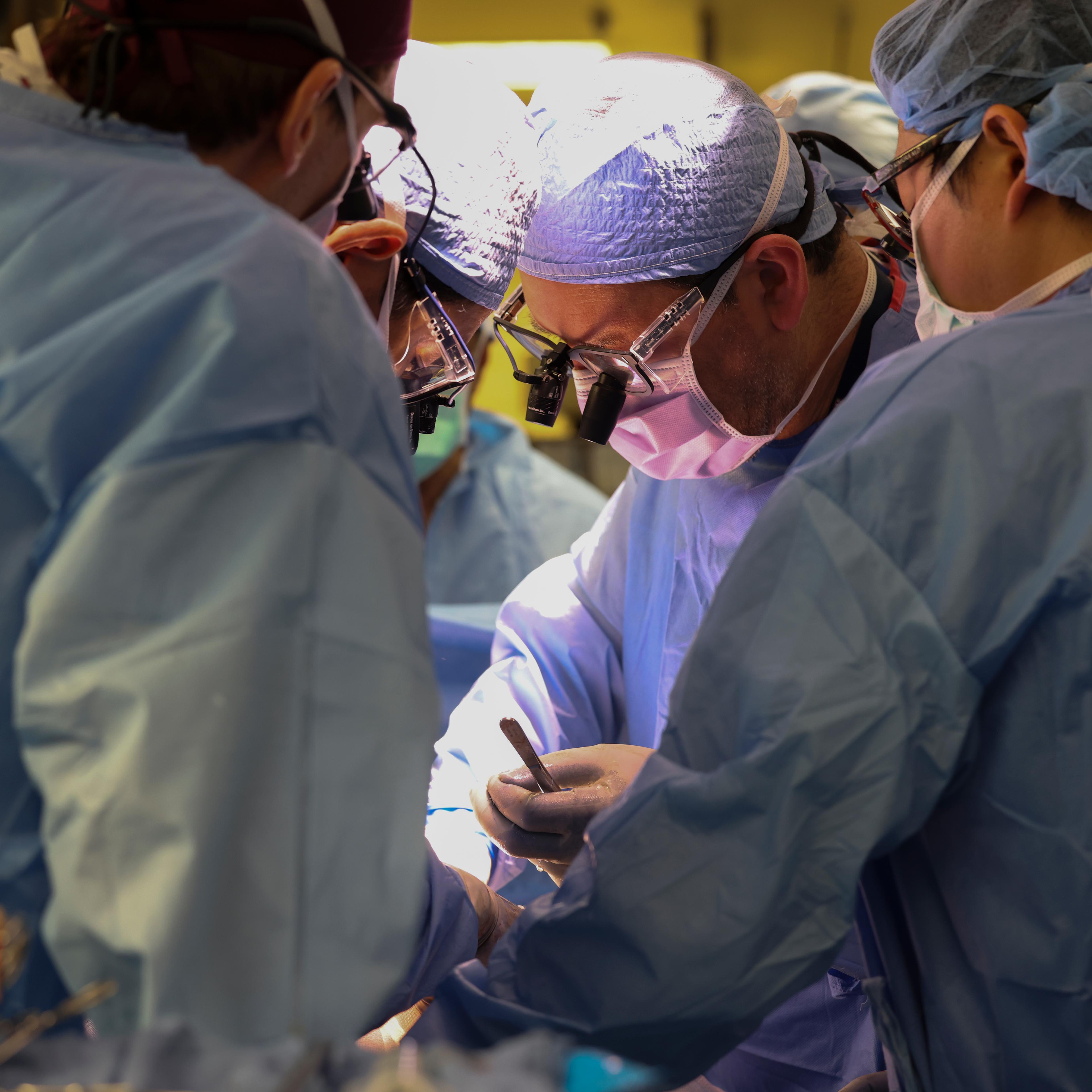 Massachusetts General Hospital; Mass General; MGH; PHOTO ASSIGNMENT Project description Drs. Kawai and Elias will be transplanting a genetically modified pig kidney into a living recipient – the first in the world. I will defer to them on the exact time