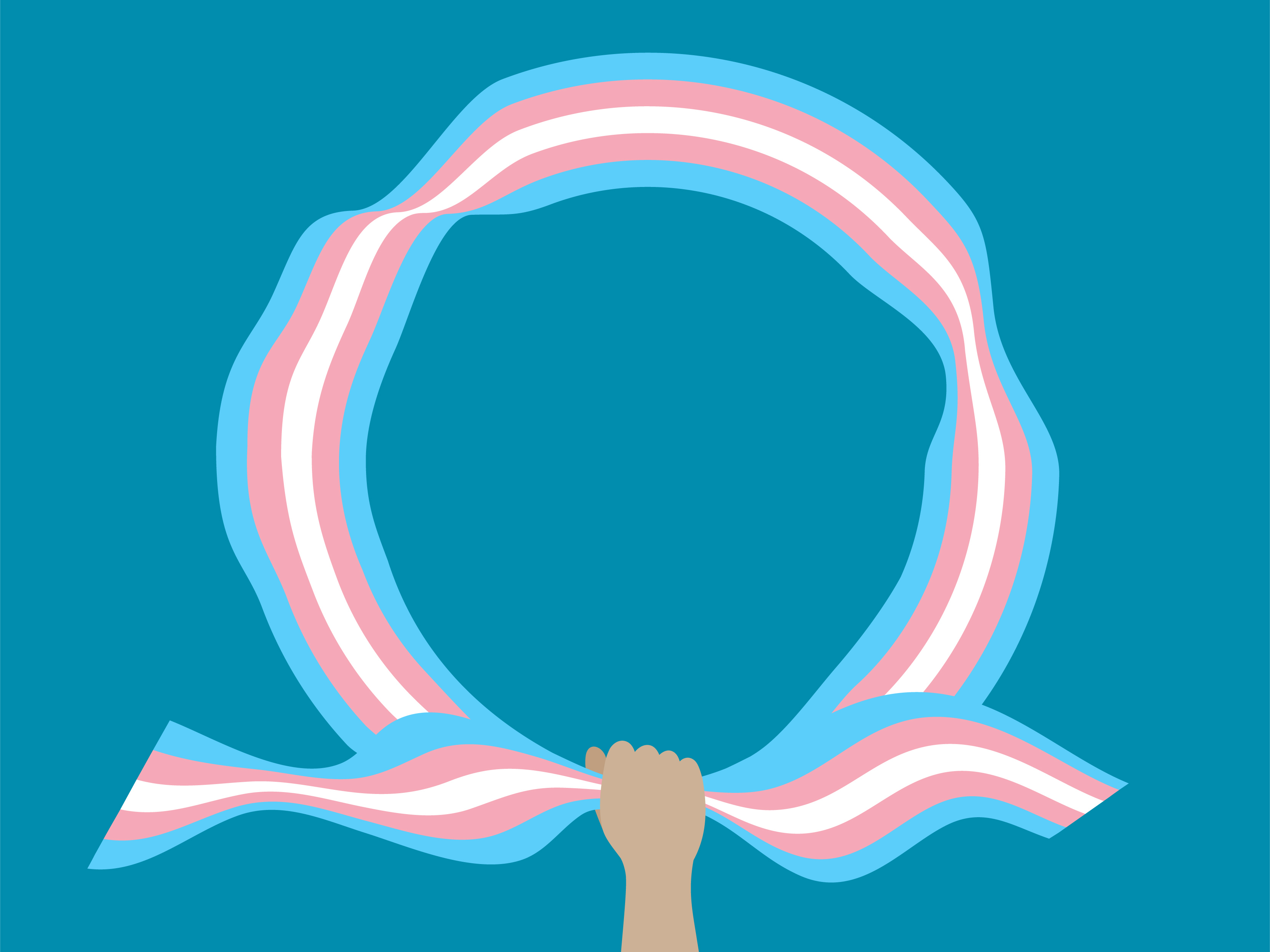 Transgender flag