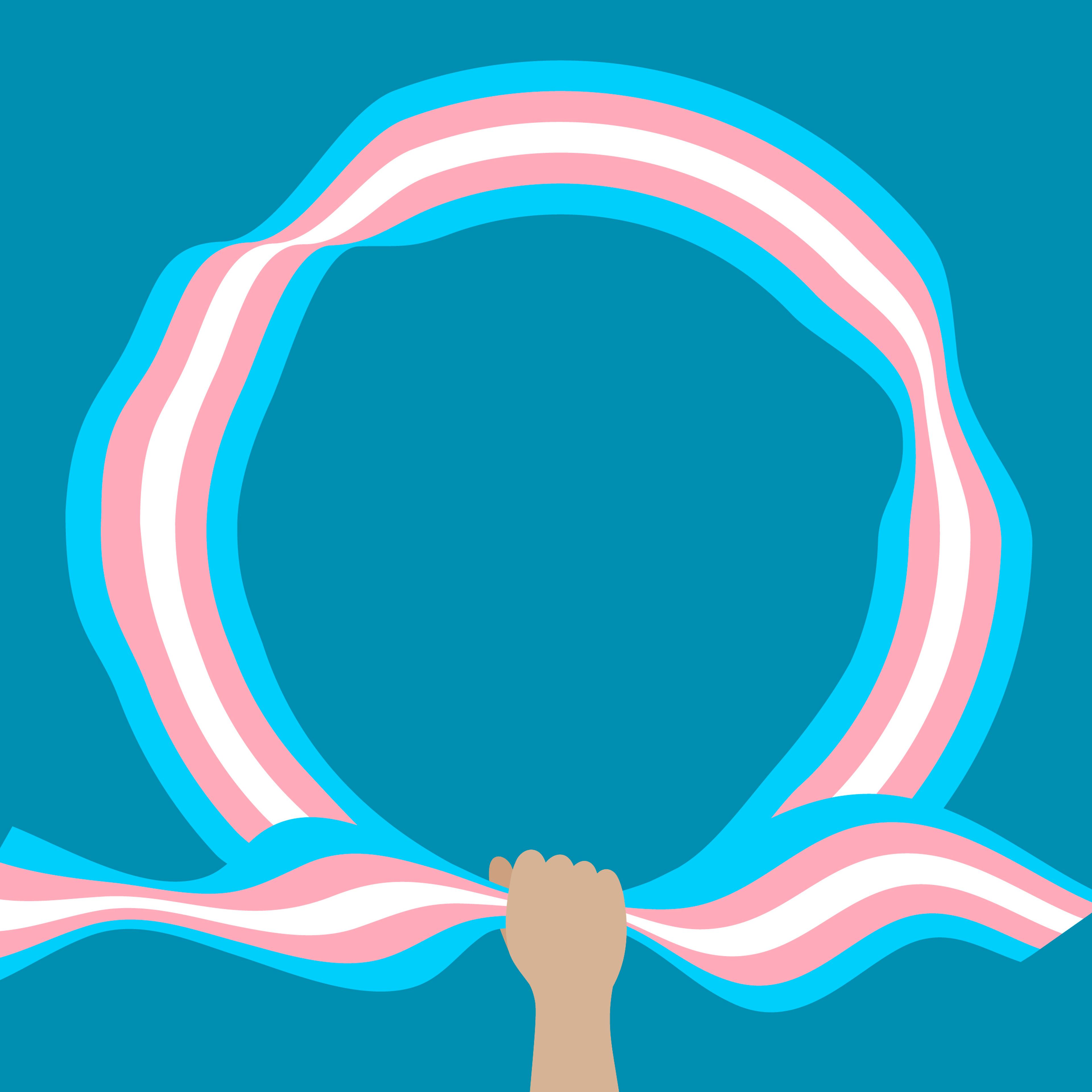 Transgender flag