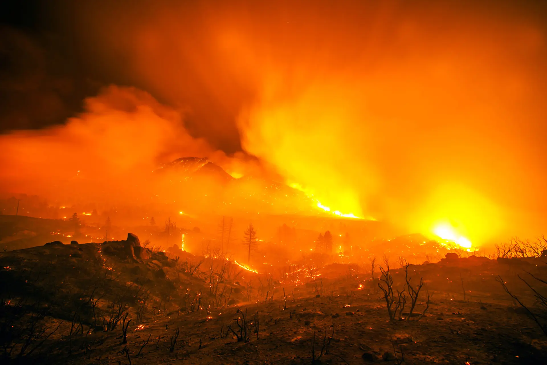 Stuart Palley Chasing Blazes: Stuart Palley's Photos of Wildfires