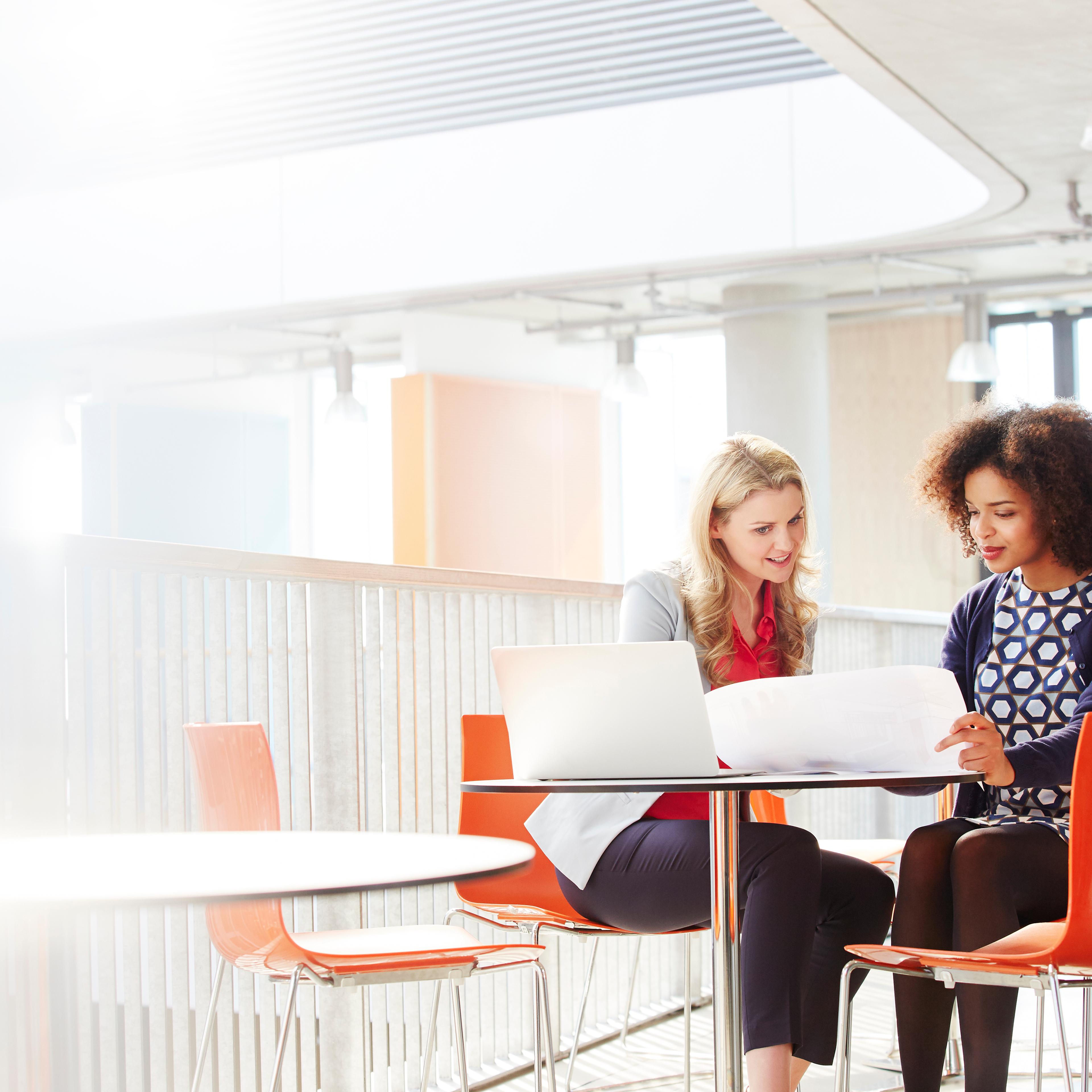 Two business women discussing a project.