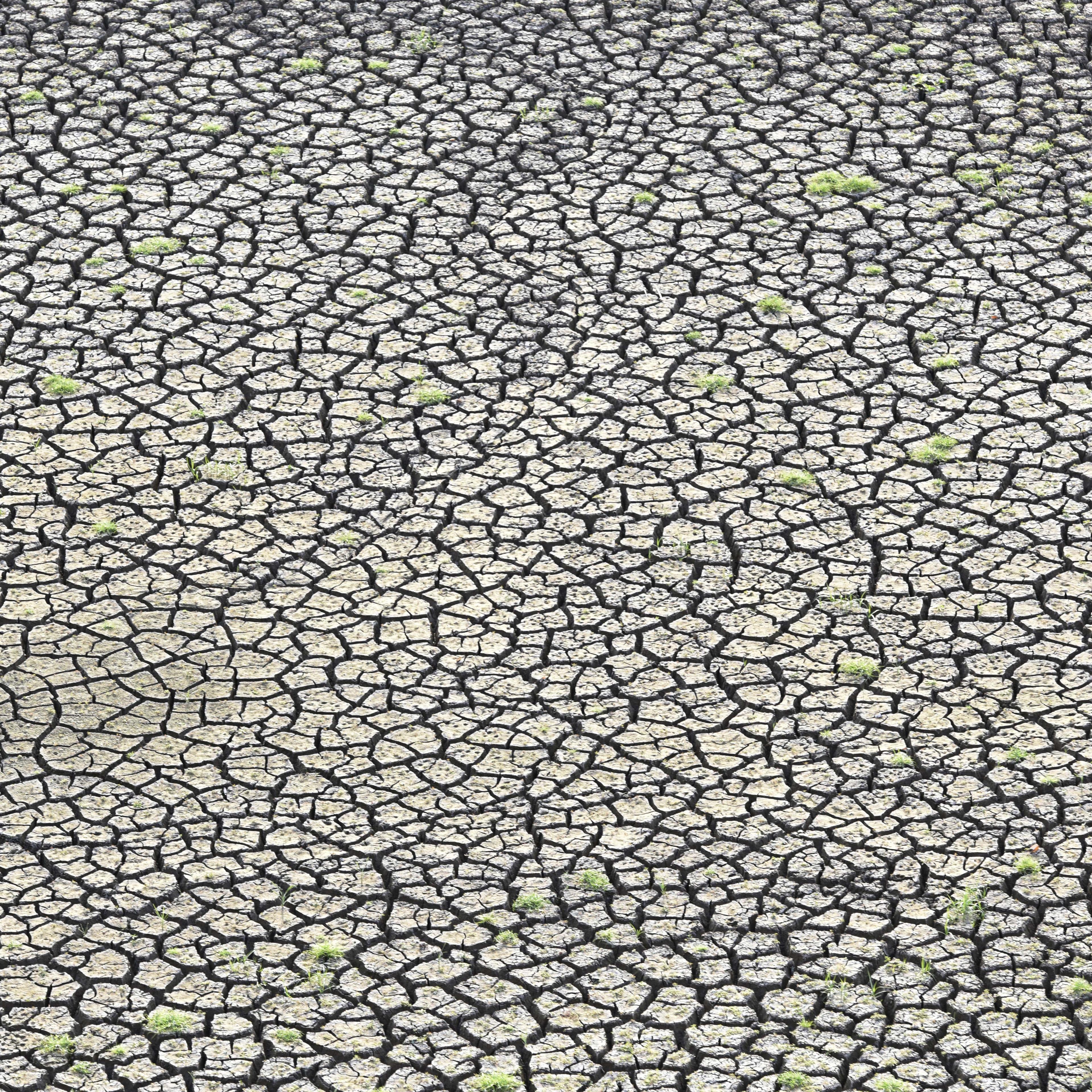 Marathwada Drought: Water Crisis In Latur