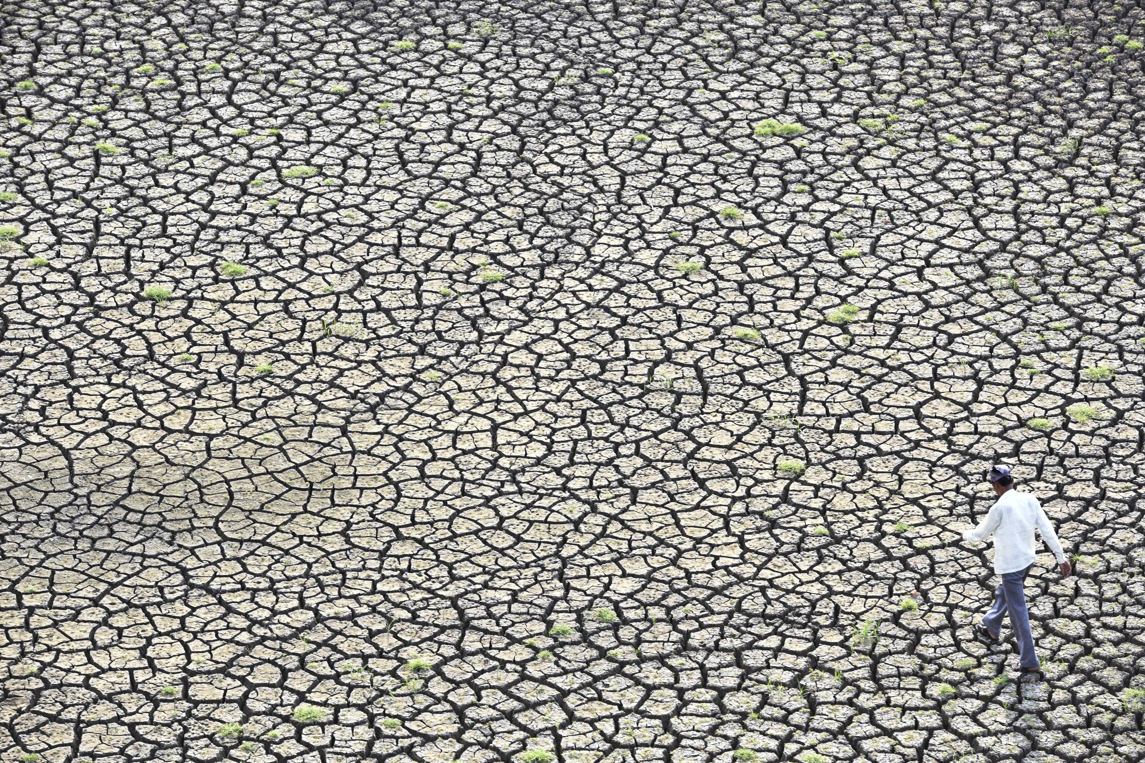 Marathwada Drought: Water Crisis In Latur