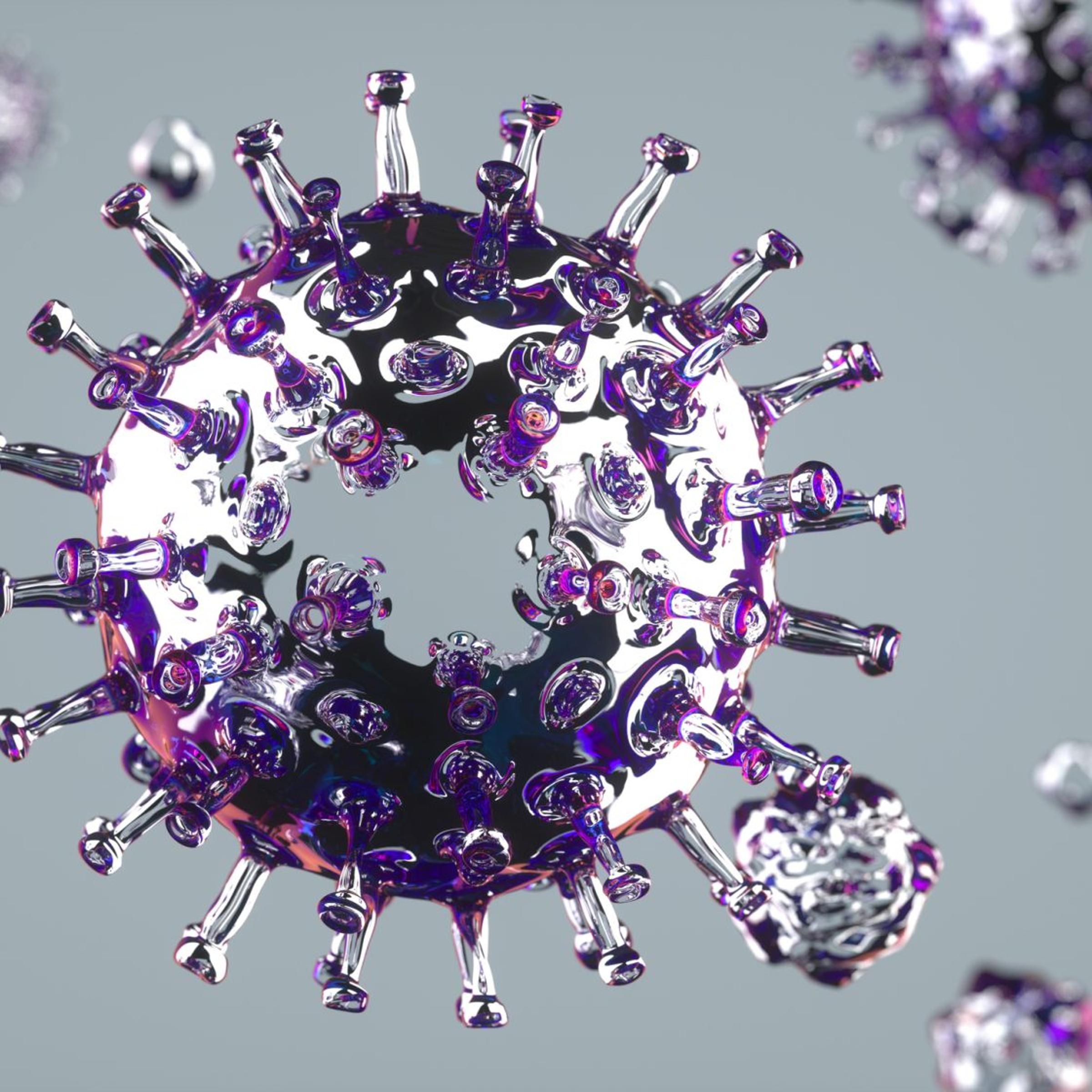 Coronavirus structure