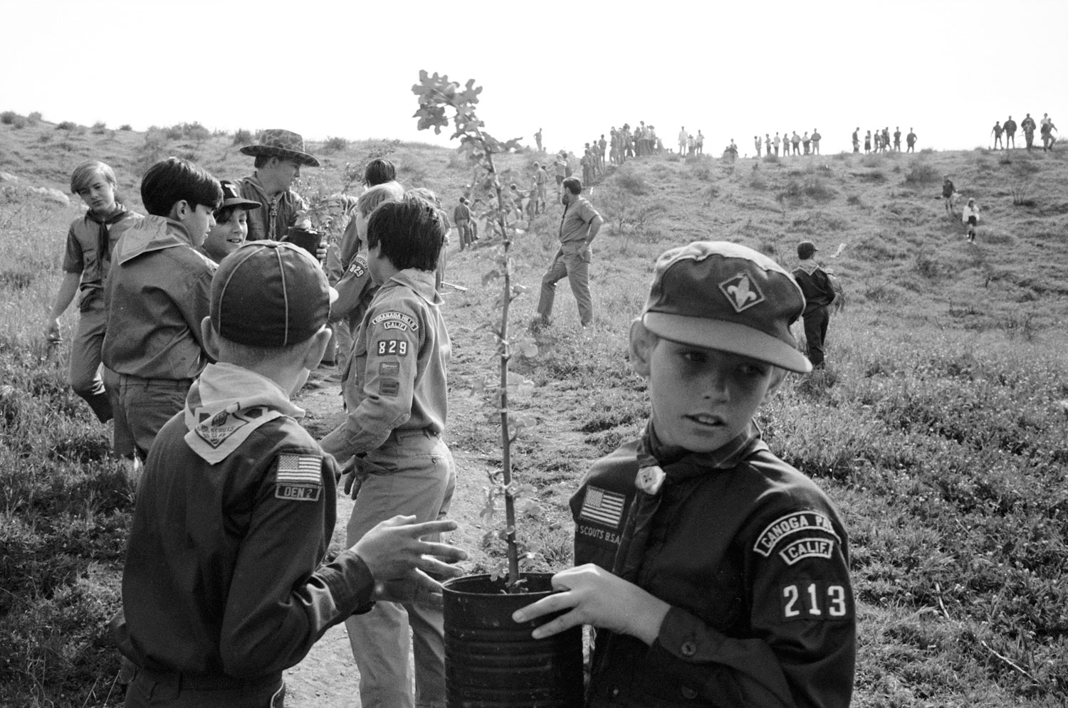 California Boy Scouts, 1971