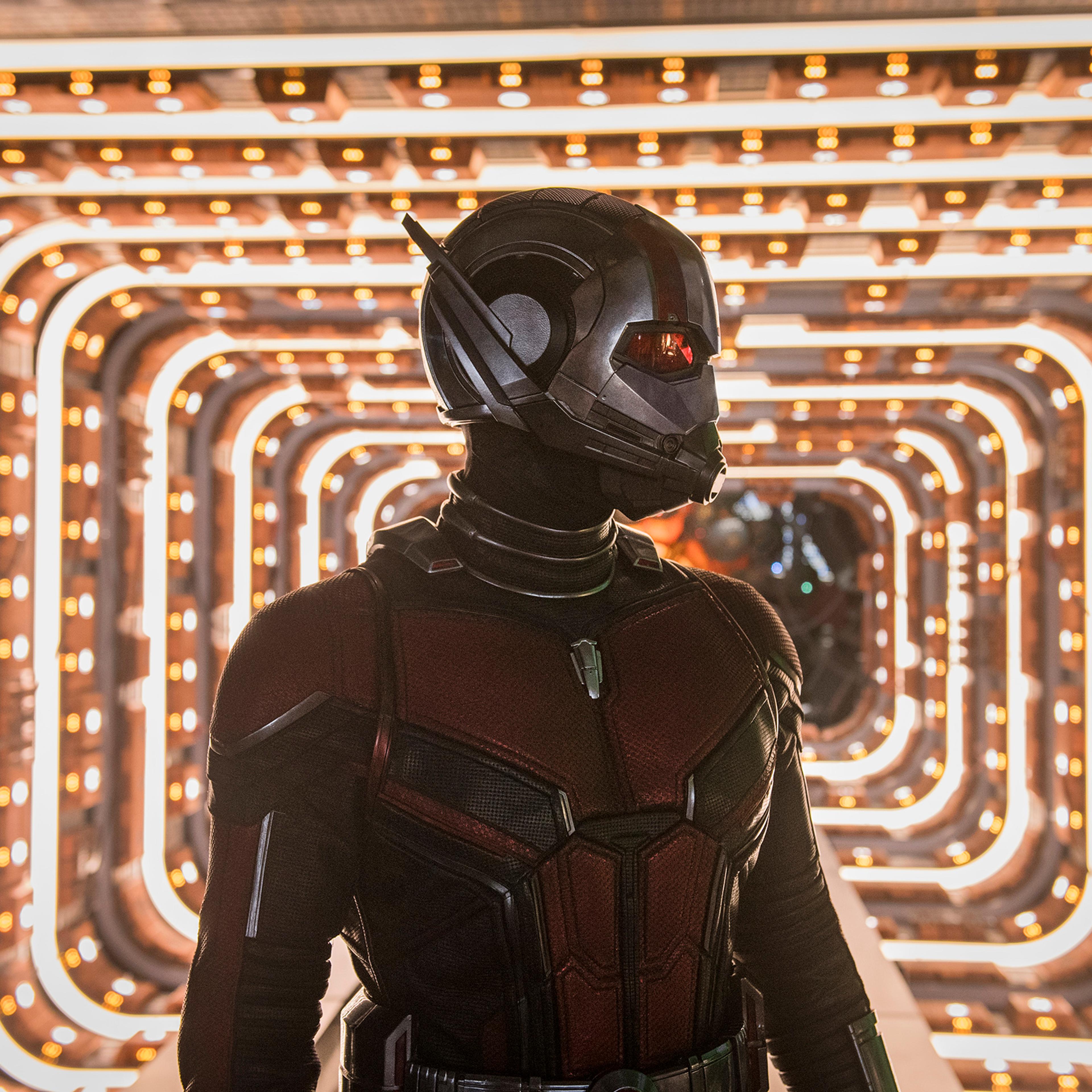 Paul Rudd in “Ant-Man and the Wasp”.