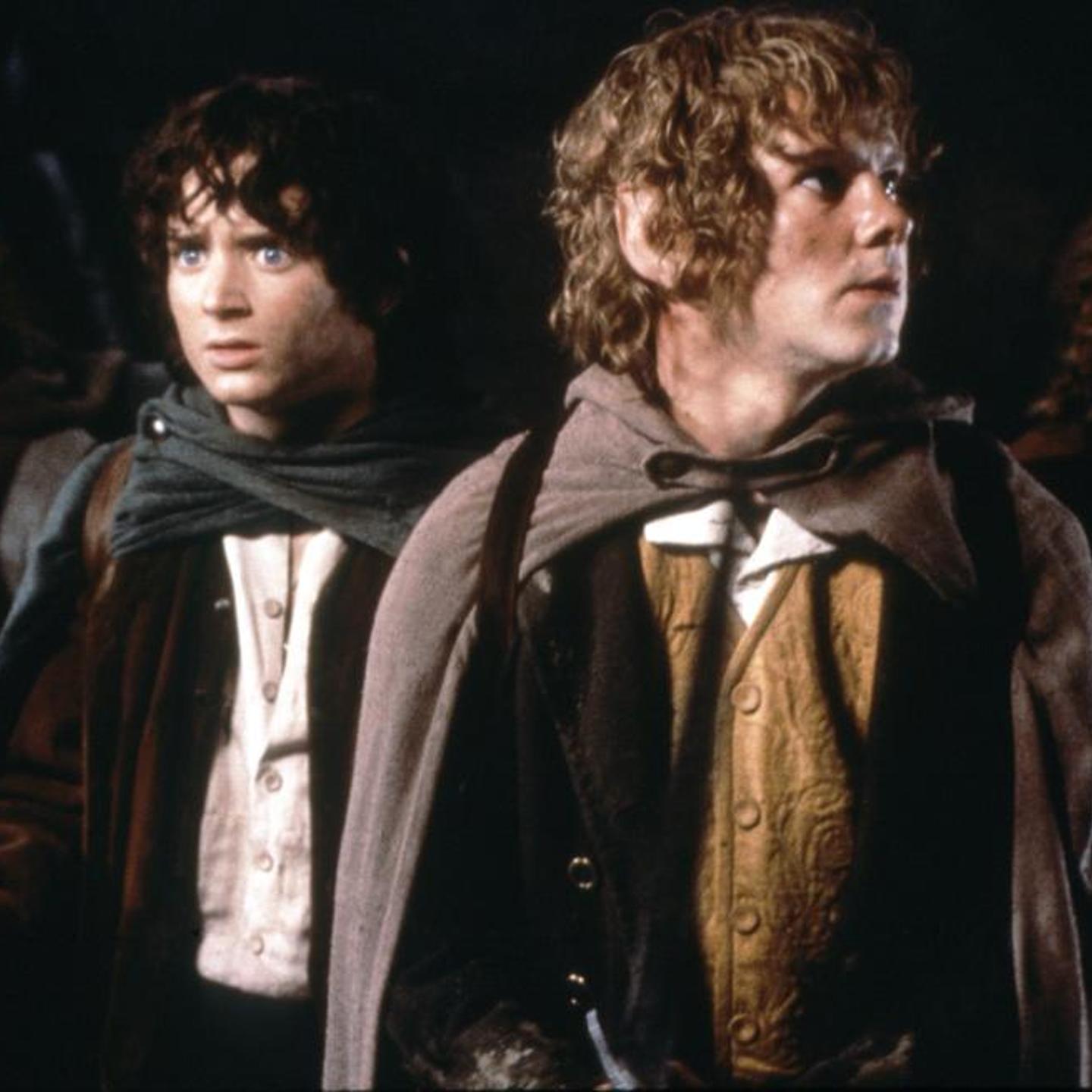 'The Lord of the Rings: The Fellowship of the Ring'