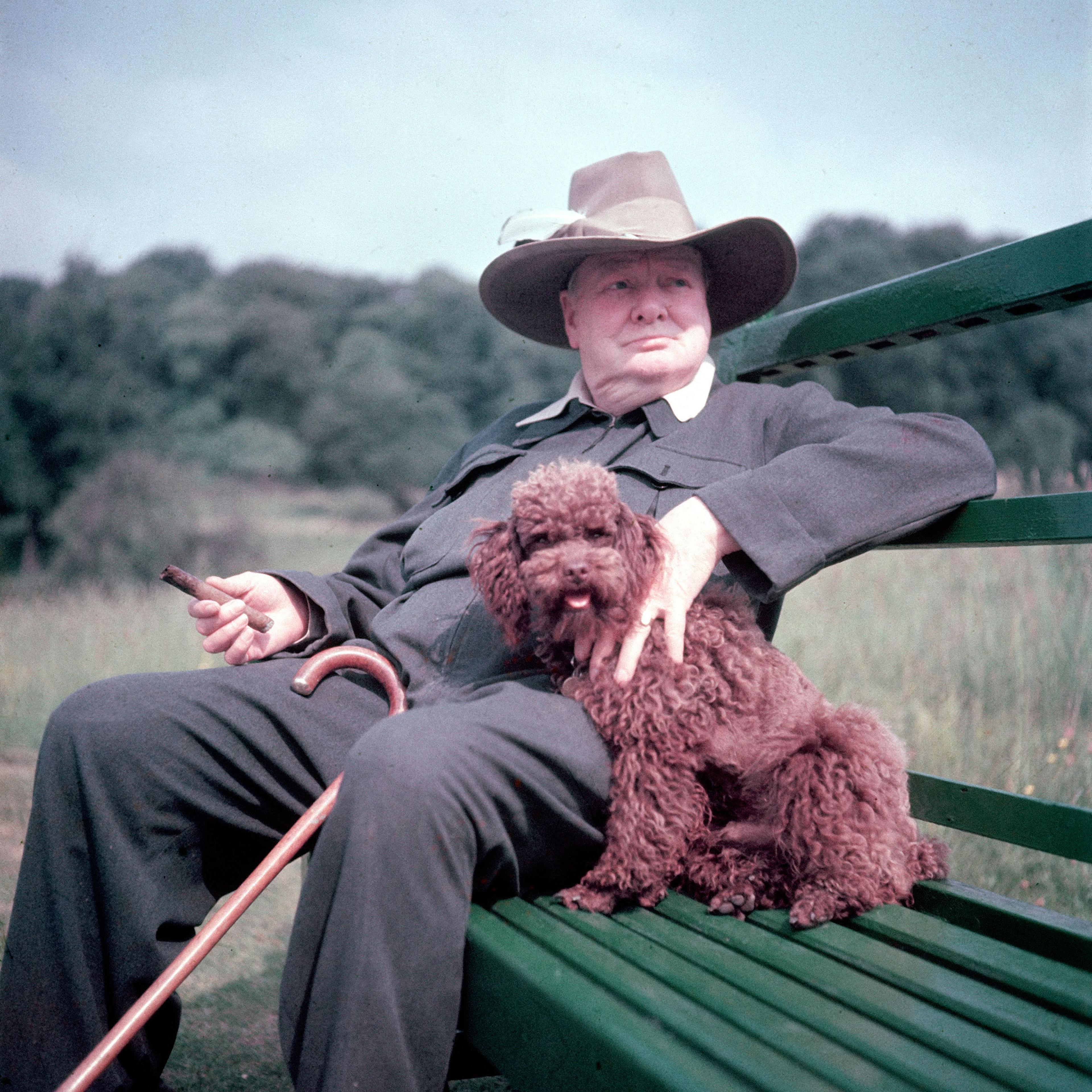 Winston Churchill and his dog, Rufus, at Chartwell in 1950.