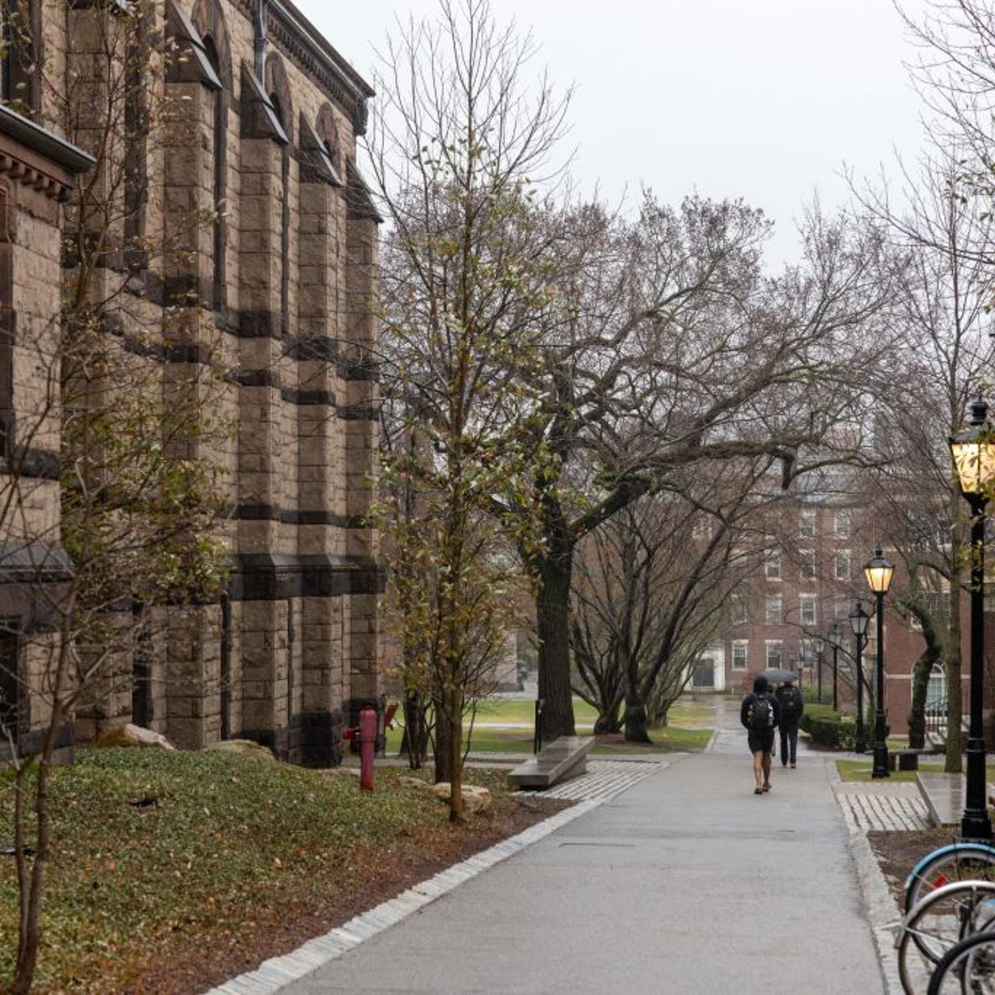 Activists Rally In Support Of Brown University Professor Deported By Trump Administration
