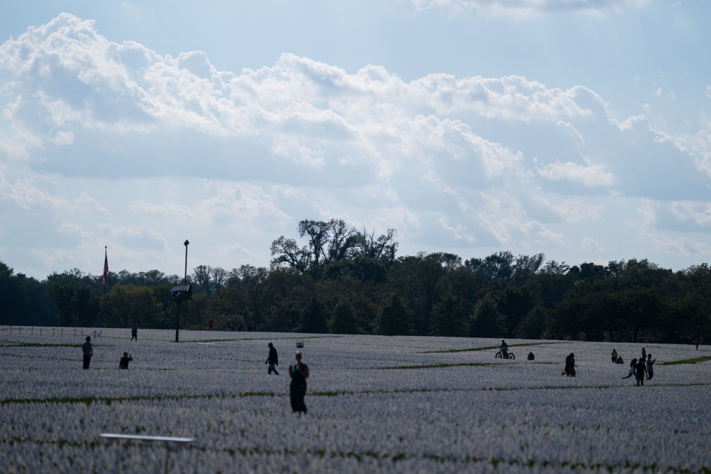 650,000 White Flags Planted On National Mall To Honor American Covid Deaths