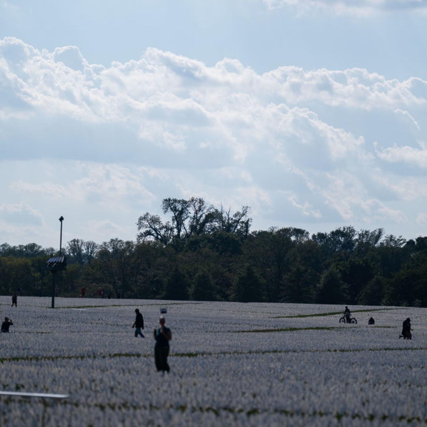 650,000 White Flags Planted On National Mall To Honor American Covid Deaths