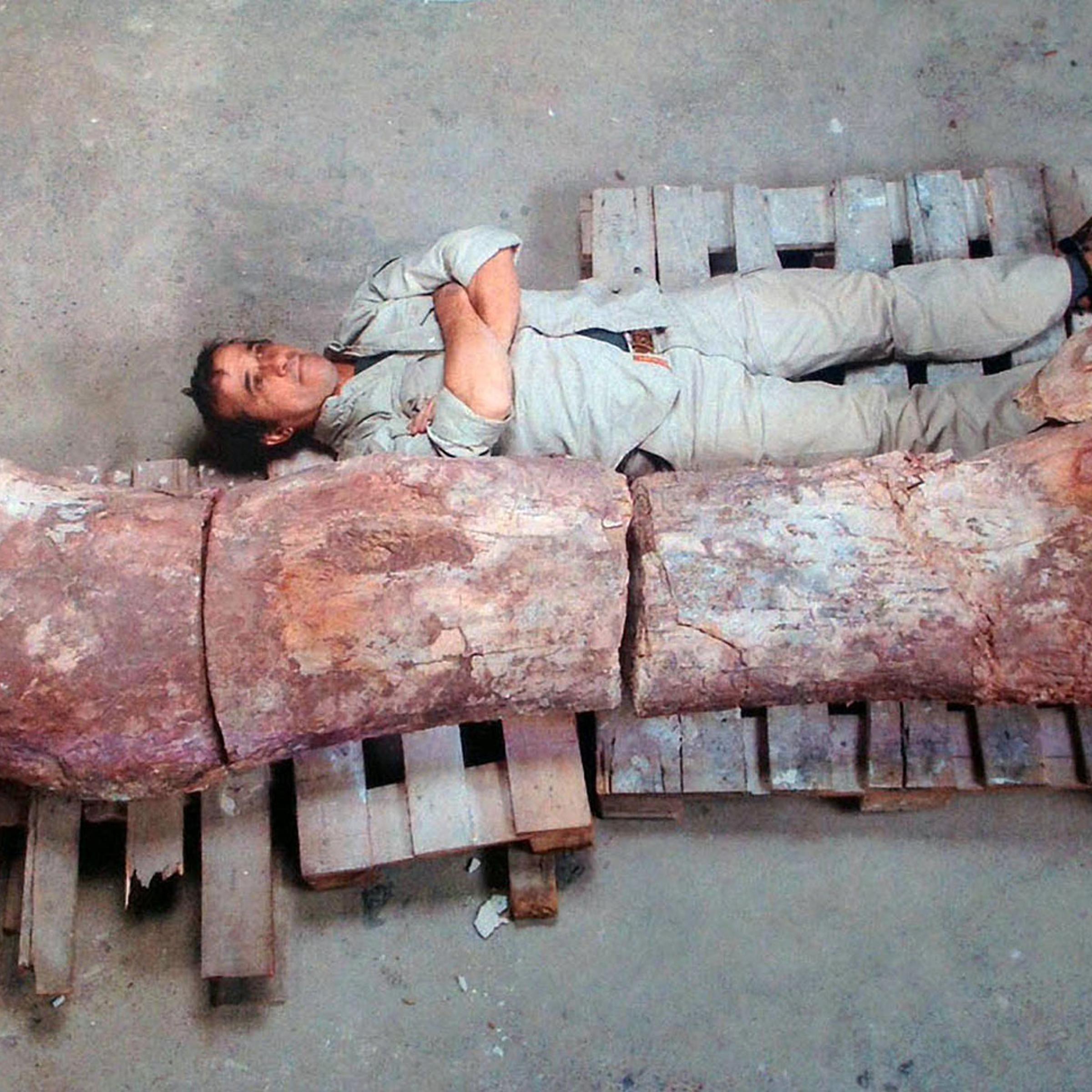 ARGENTINA-PALEONTOLOGY-DINOSAUR