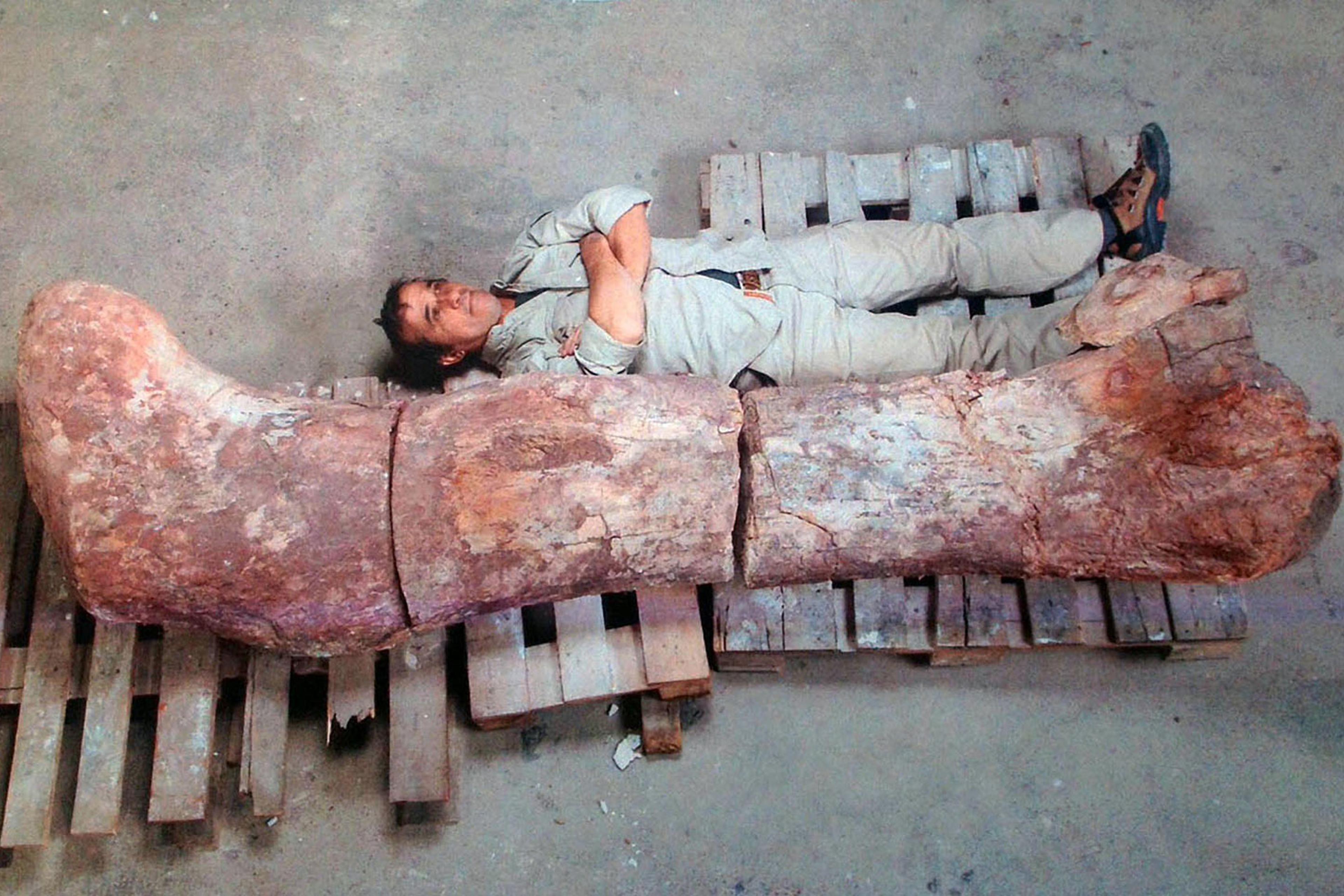Biggest Dinosaur Ever' Unearthed in Argentina