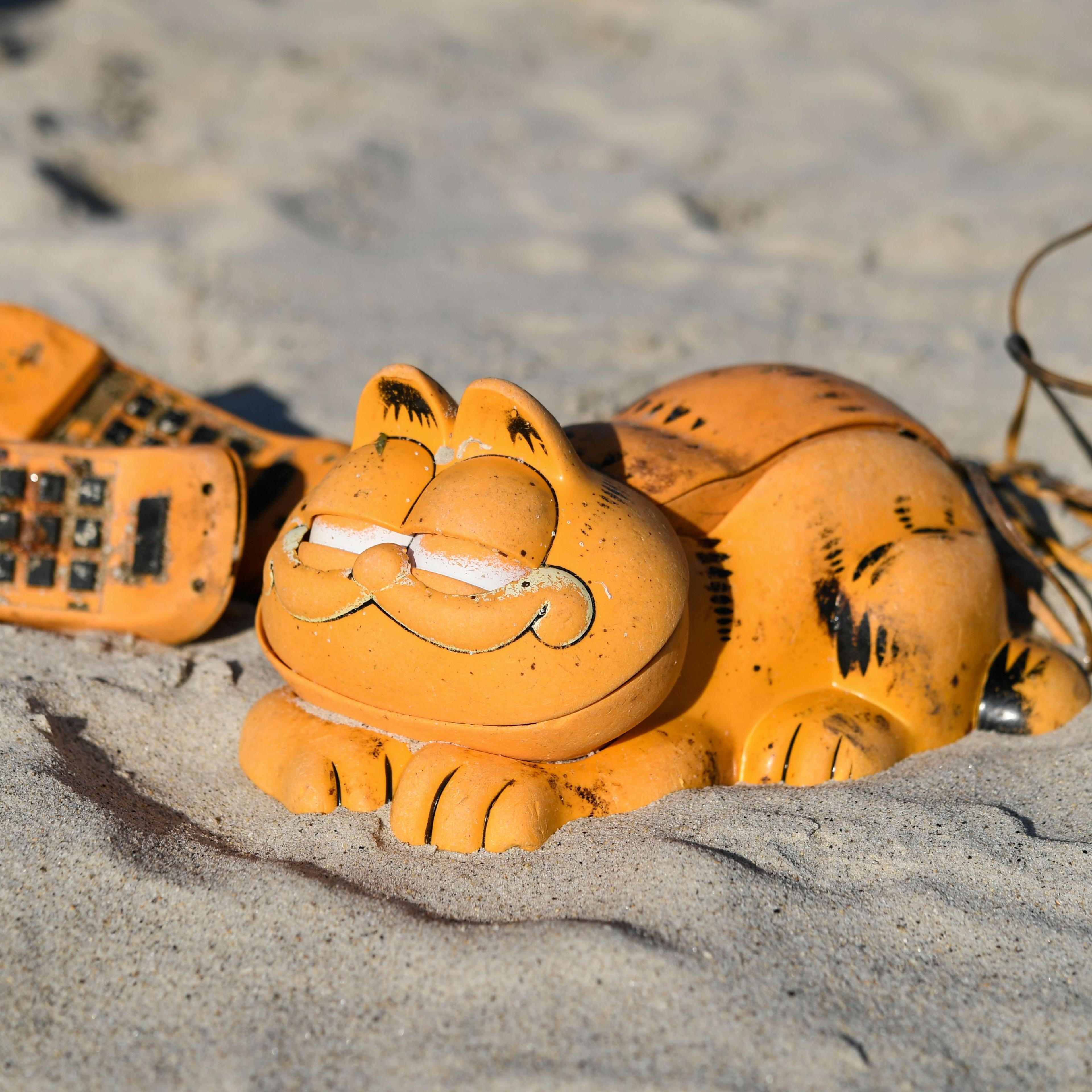 Garfield phones France