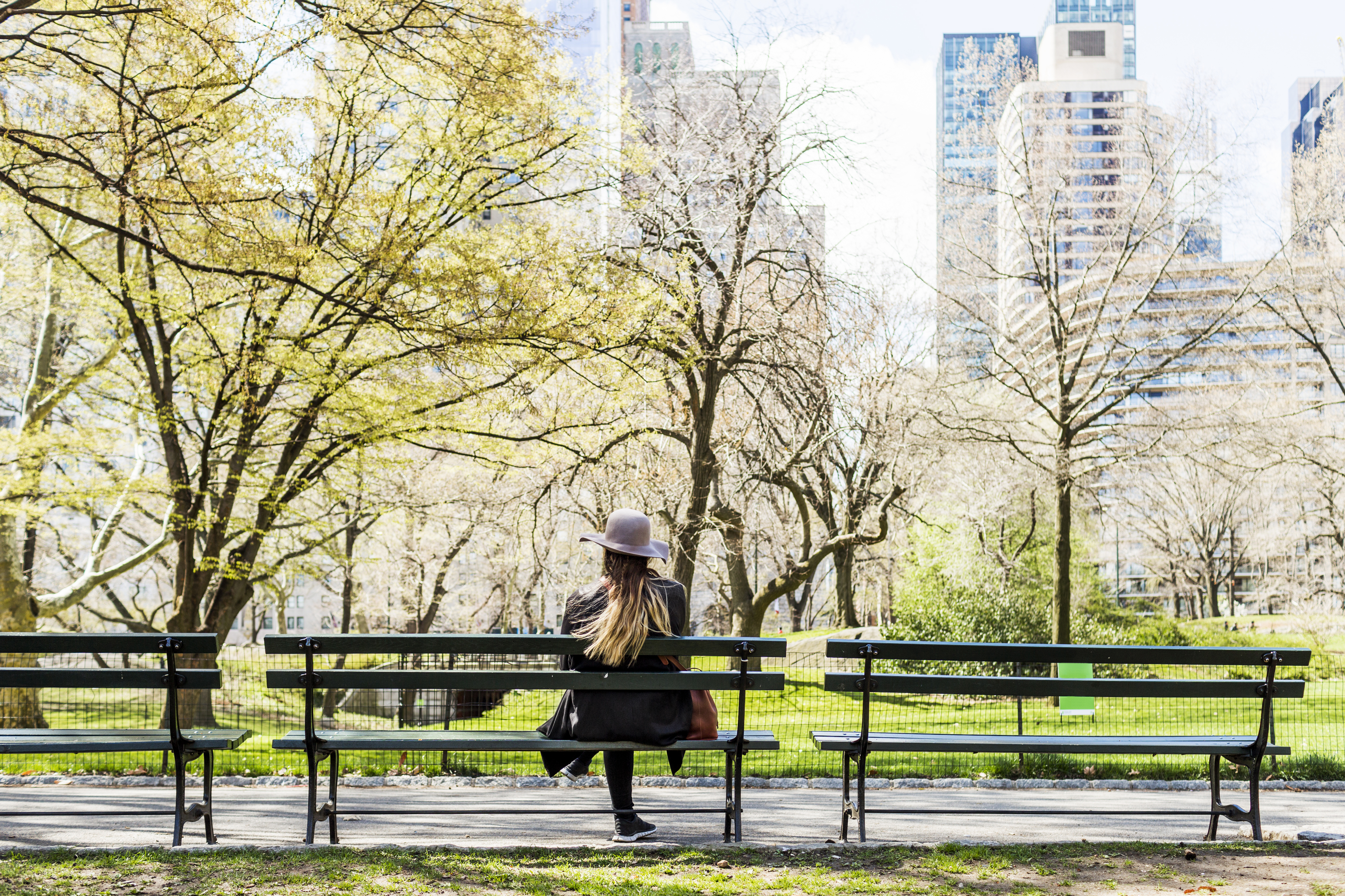 Rear view of woman sitting on bench at Central Park in city