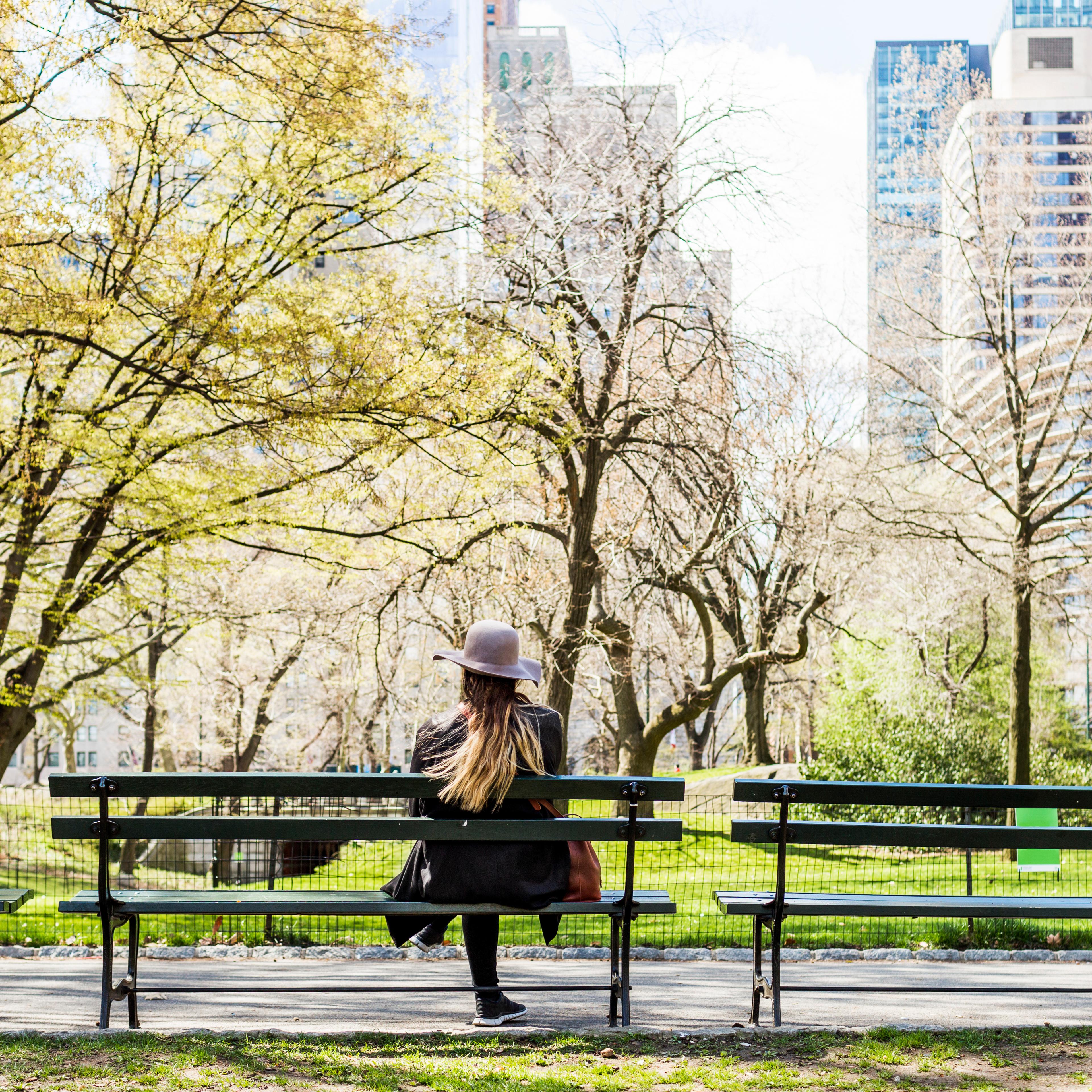 Rear view of woman sitting on bench at Central Park in city