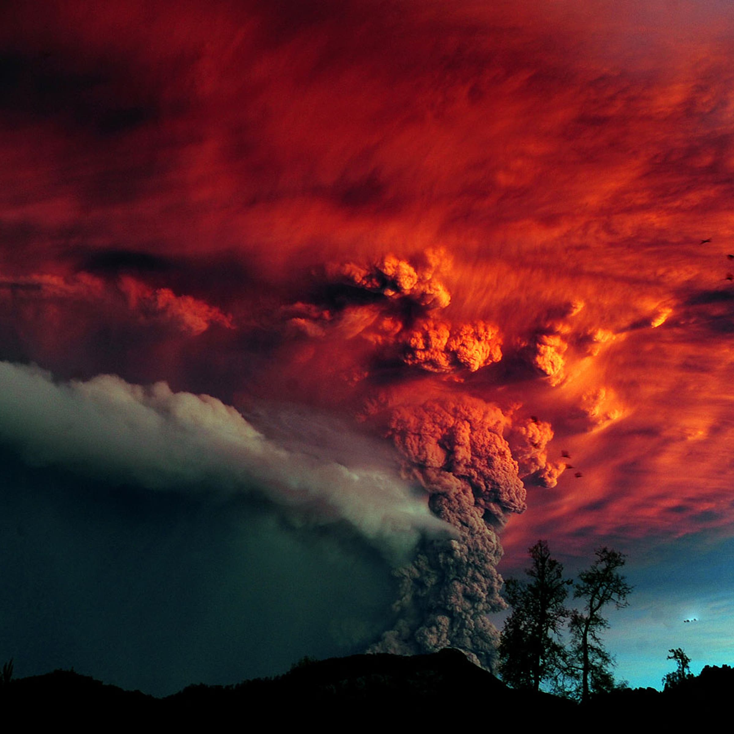 A cloud of ash billowing from Puyehue volcano near Osorno in southern Chile, 870 km south of Santiago, on June 5, 2011.