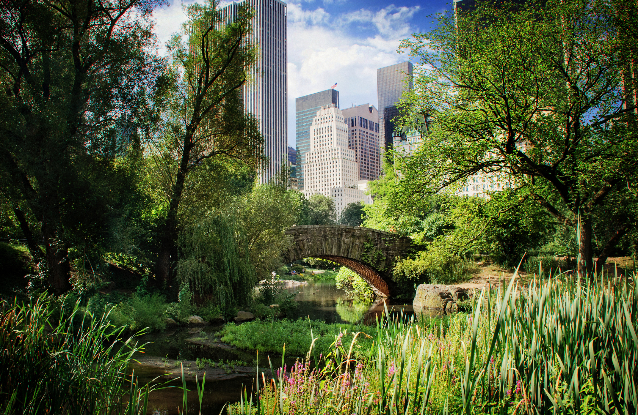 Urban green space