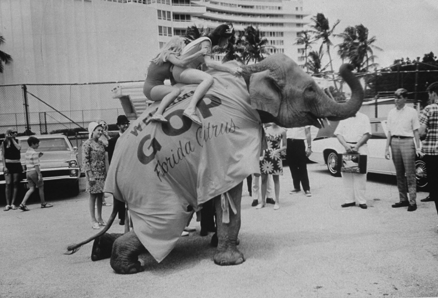 Scene at the 1968 Republican National Convention, Miami Beach, Florida.