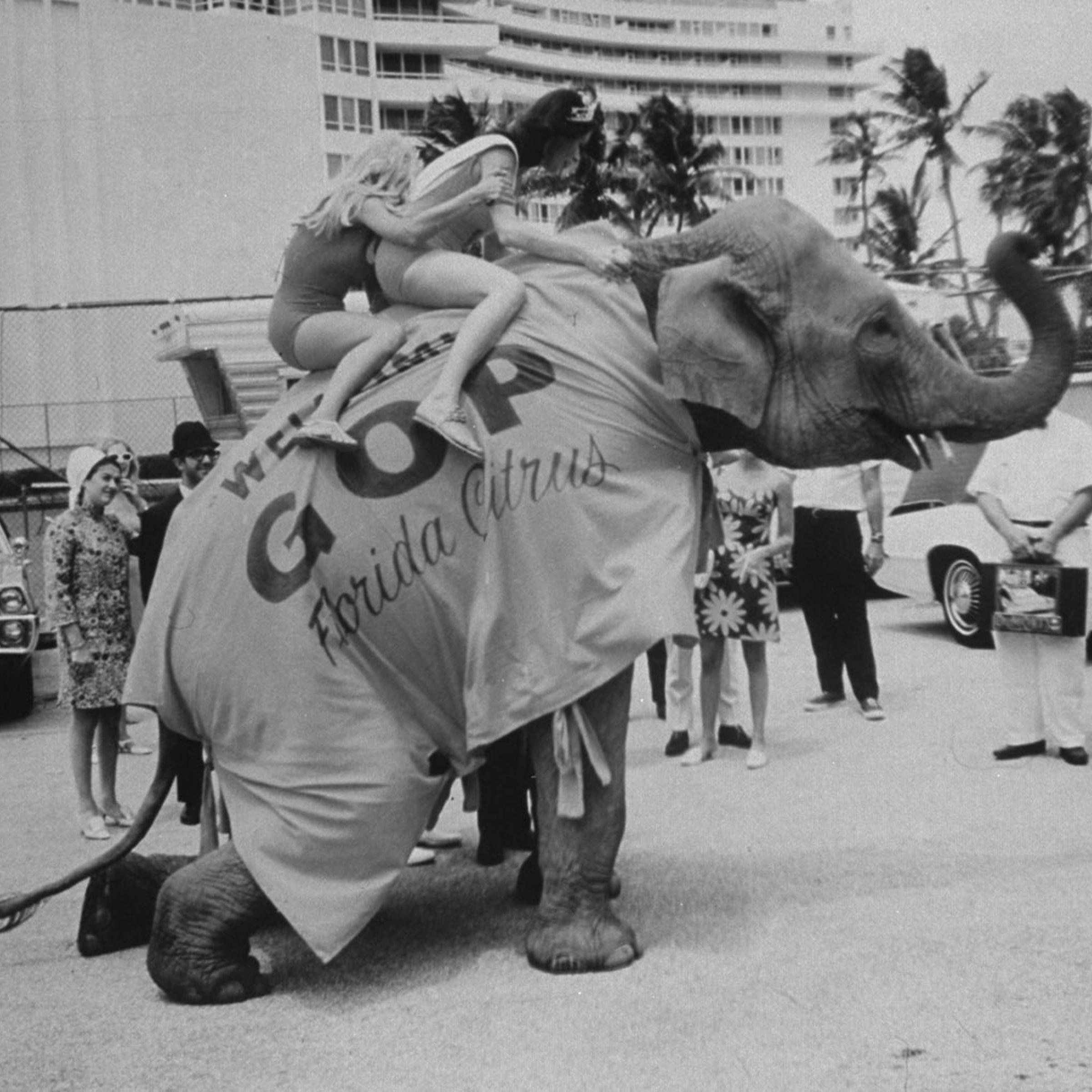 Scene at the 1968 Republican National Convention, Miami Beach, Florida.