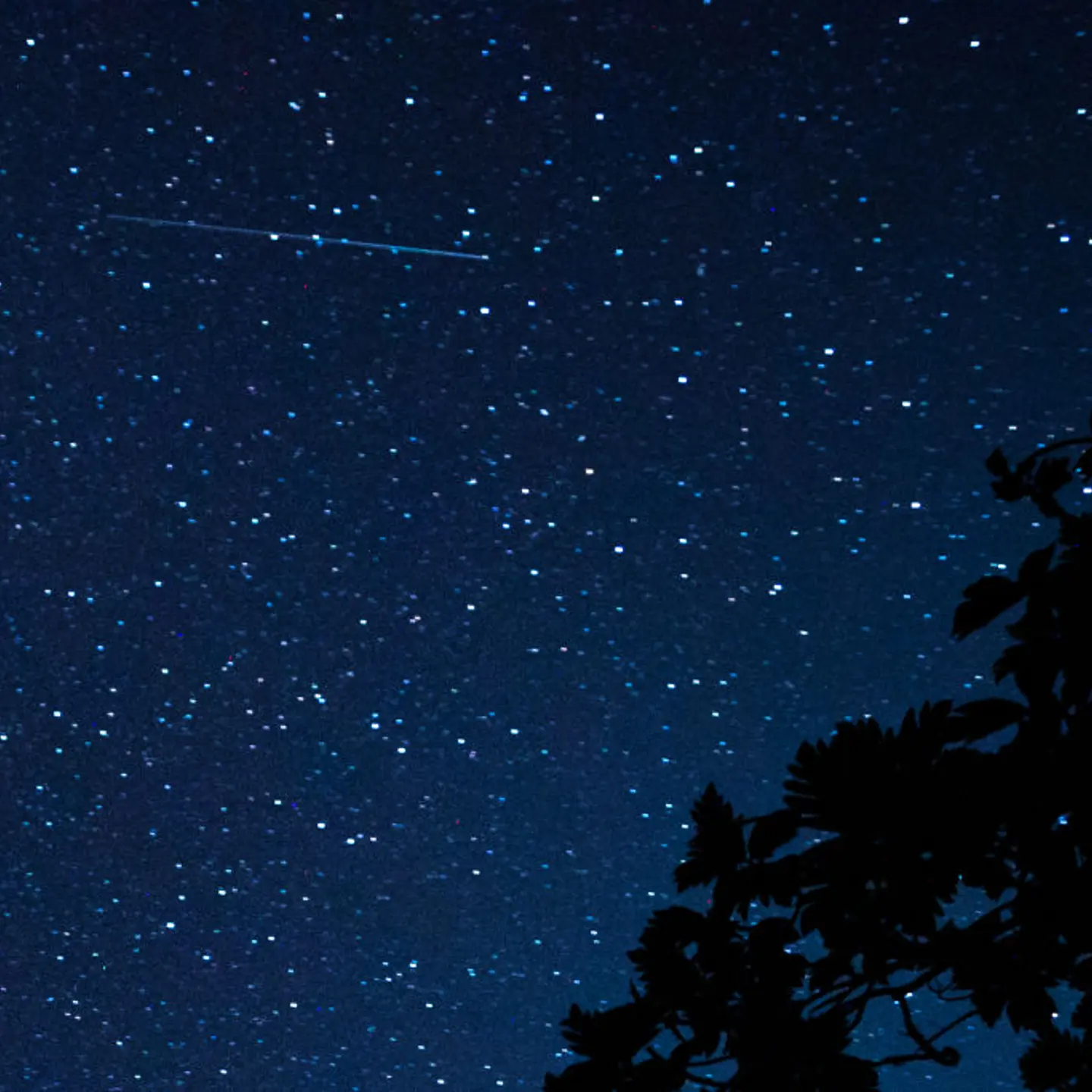 Annual Perseid Meteor Shower