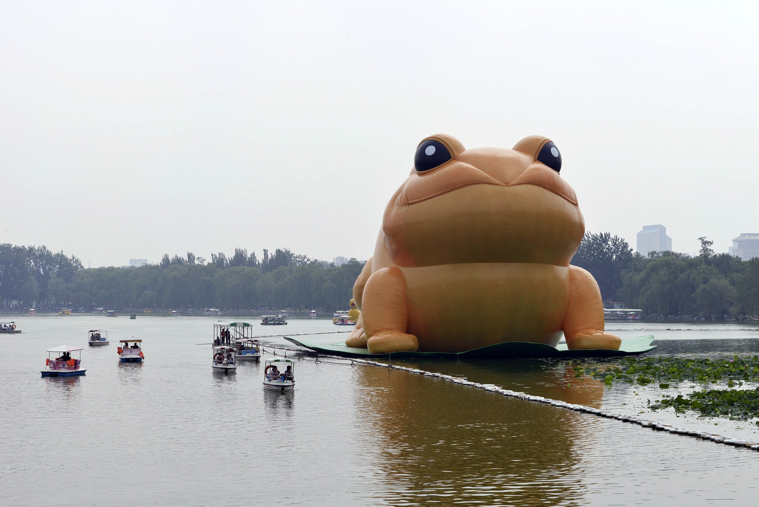 Feel Good Friday: 14 Fun Photos to Start Your Weekend